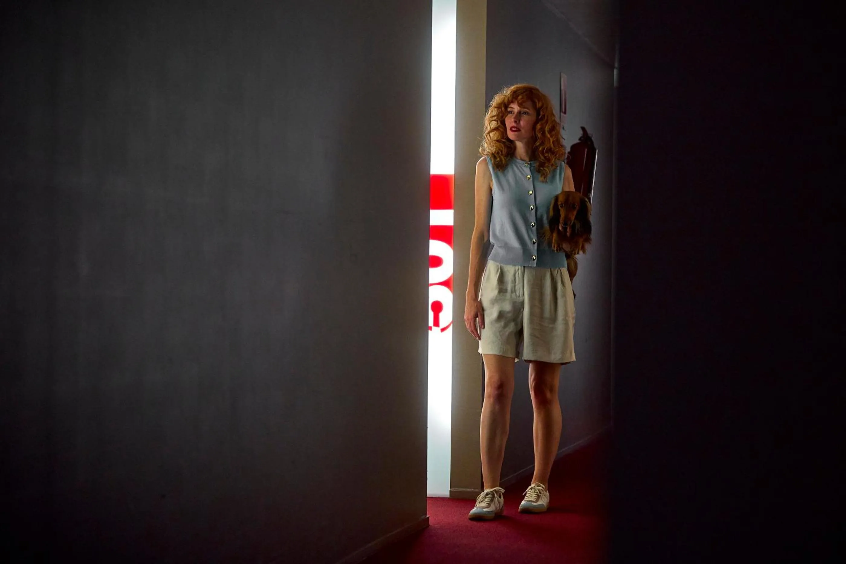 Pets in Civis Luz Castellón 4*S