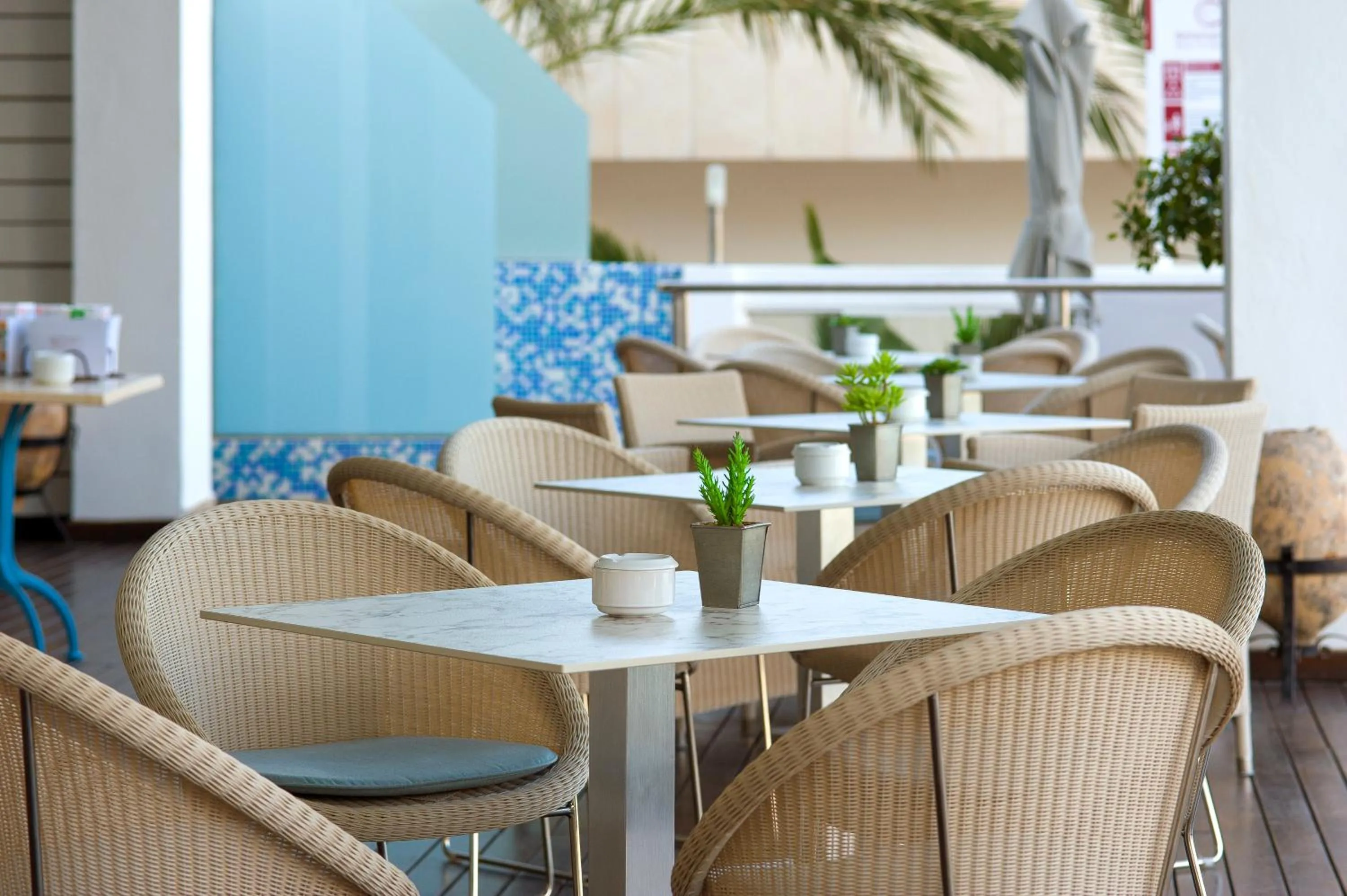 Restaurant/places to eat in Bellamar Hotel Beach & Spa