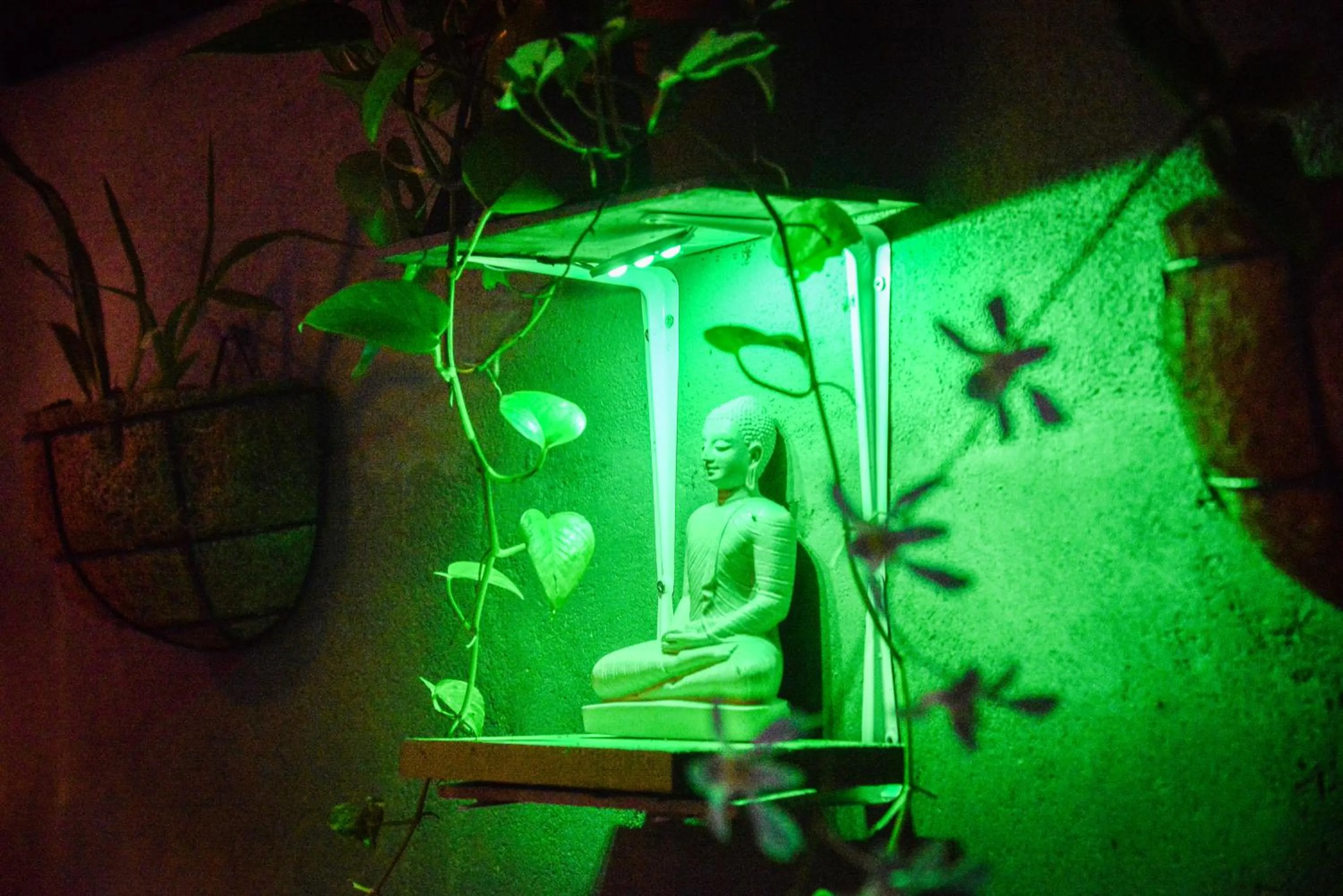 Night in Red Eyes Cottage-Hikkaduwa