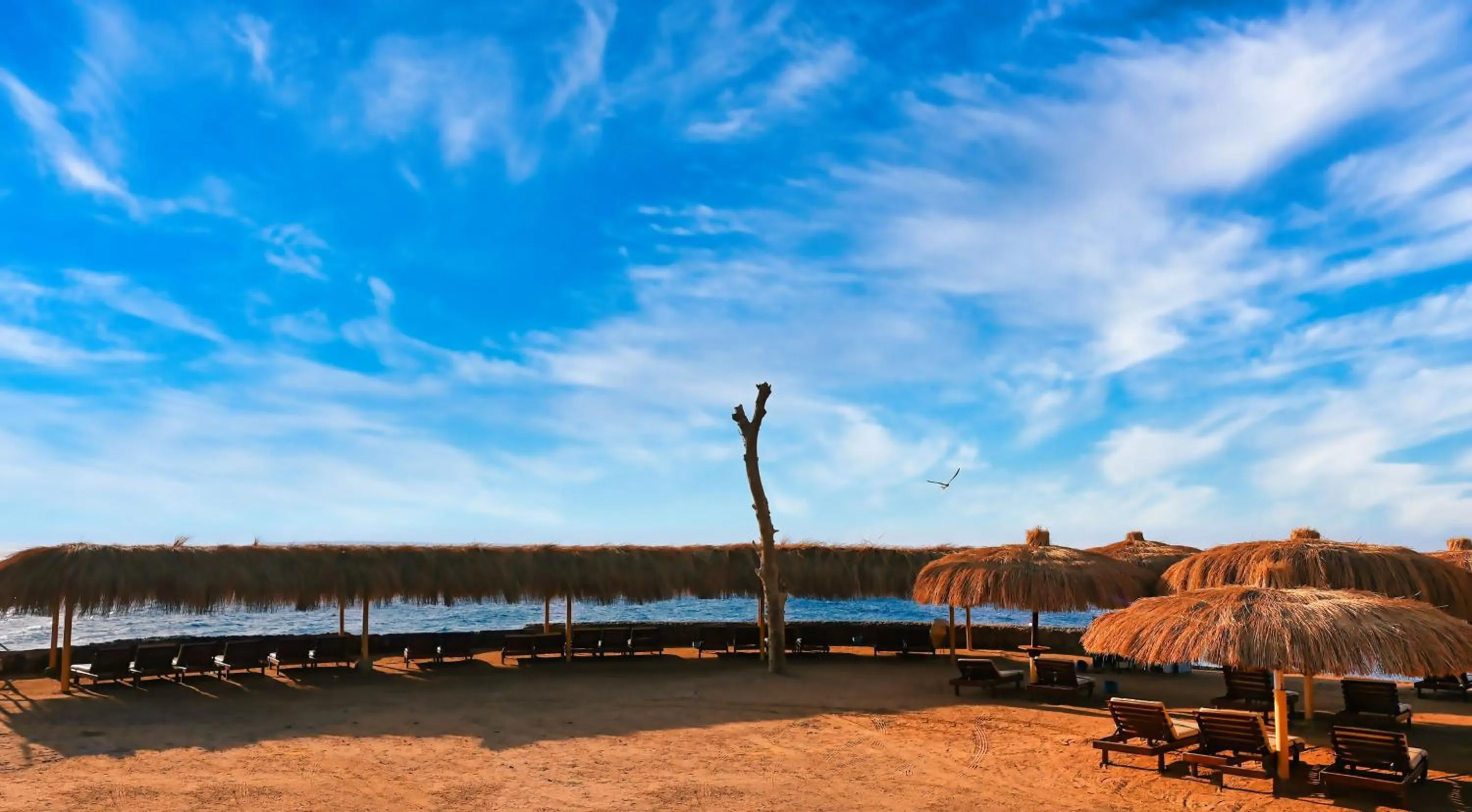 Beach in Eagles Downtown Zahabia Resort & Aqua Park