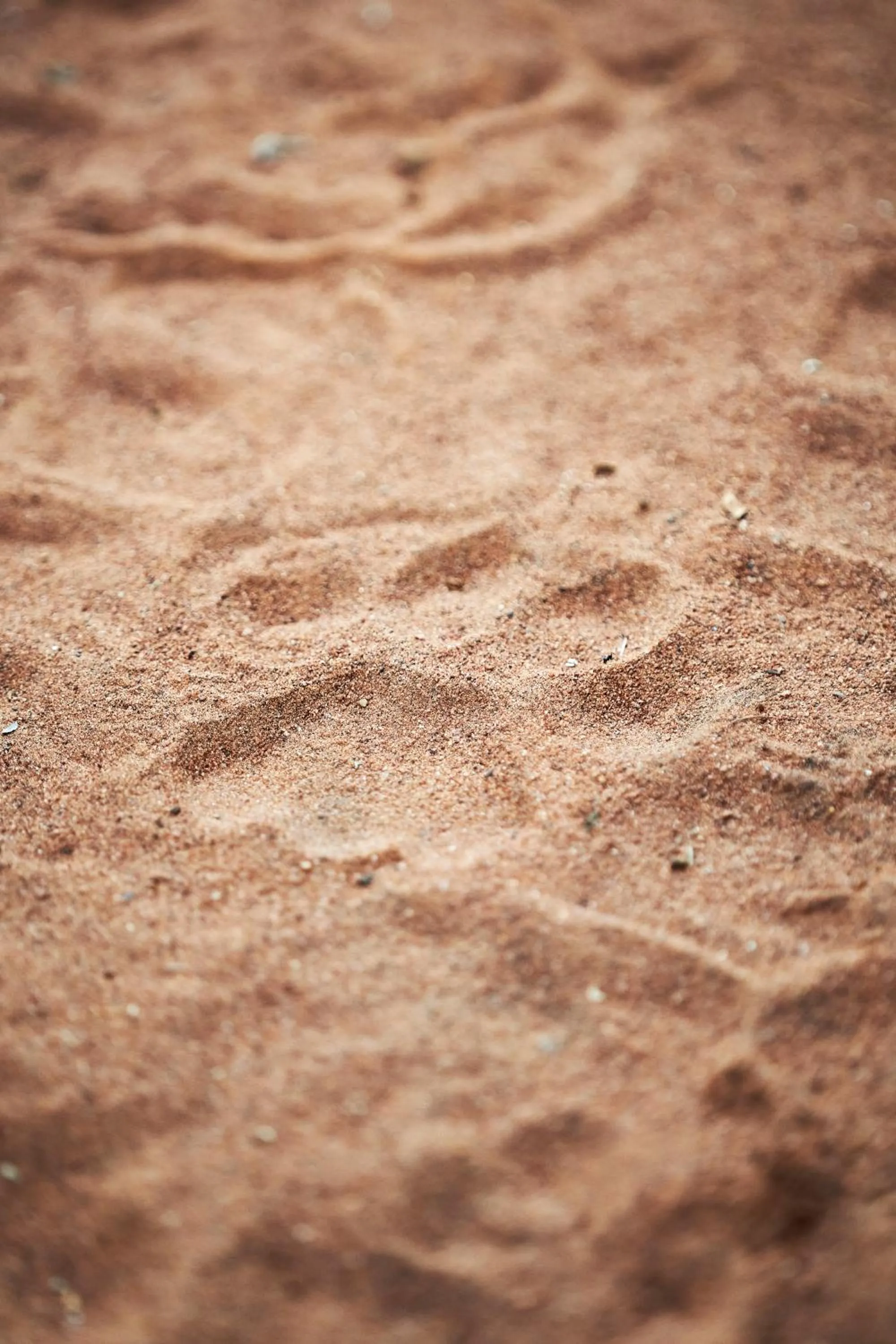 Other in Letamo at Qwabi Private Game Reserve by NEWMARK