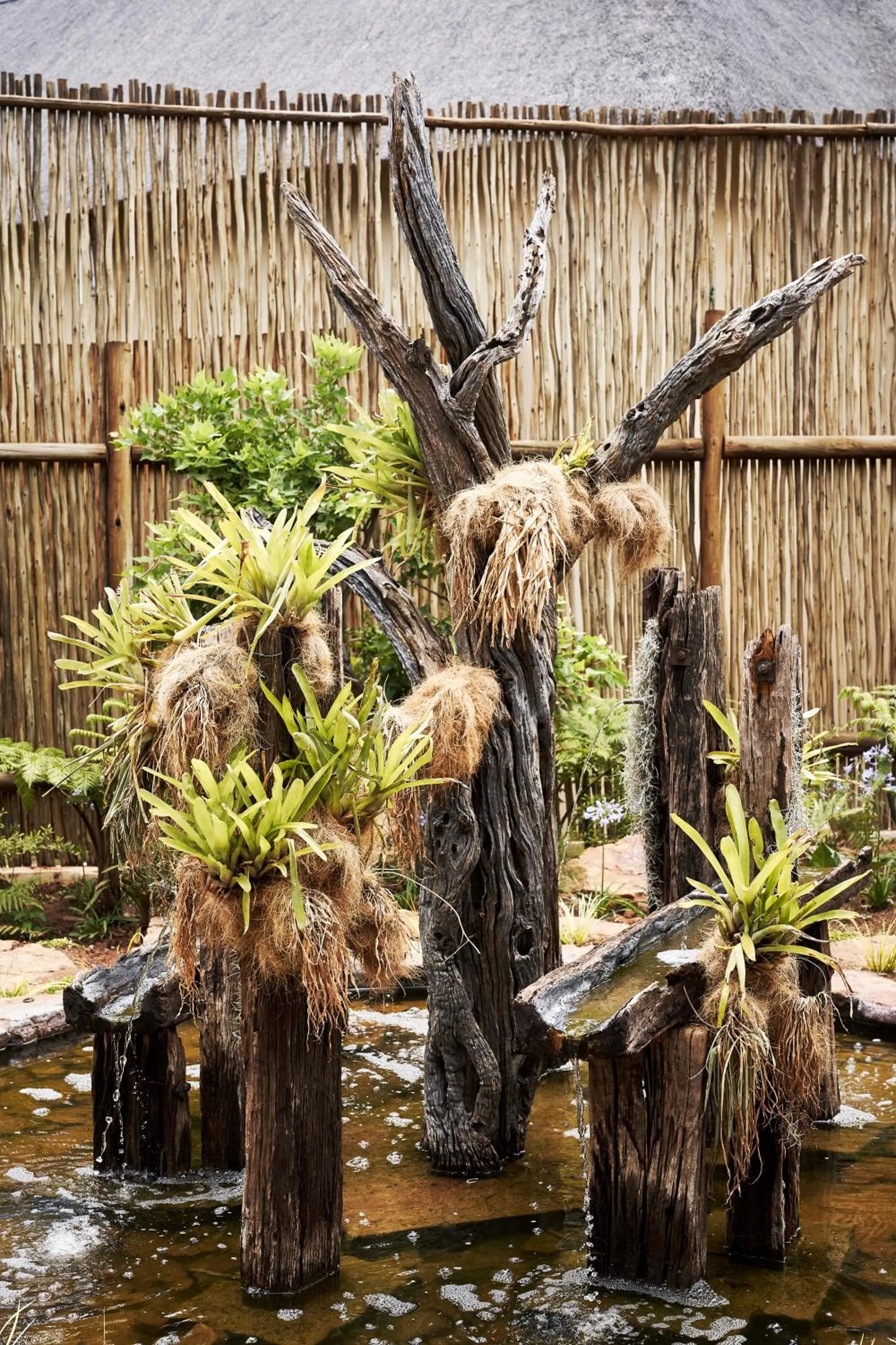 Spa and wellness centre/facilities in Letamo at Qwabi Private Game Reserve by NEWMARK