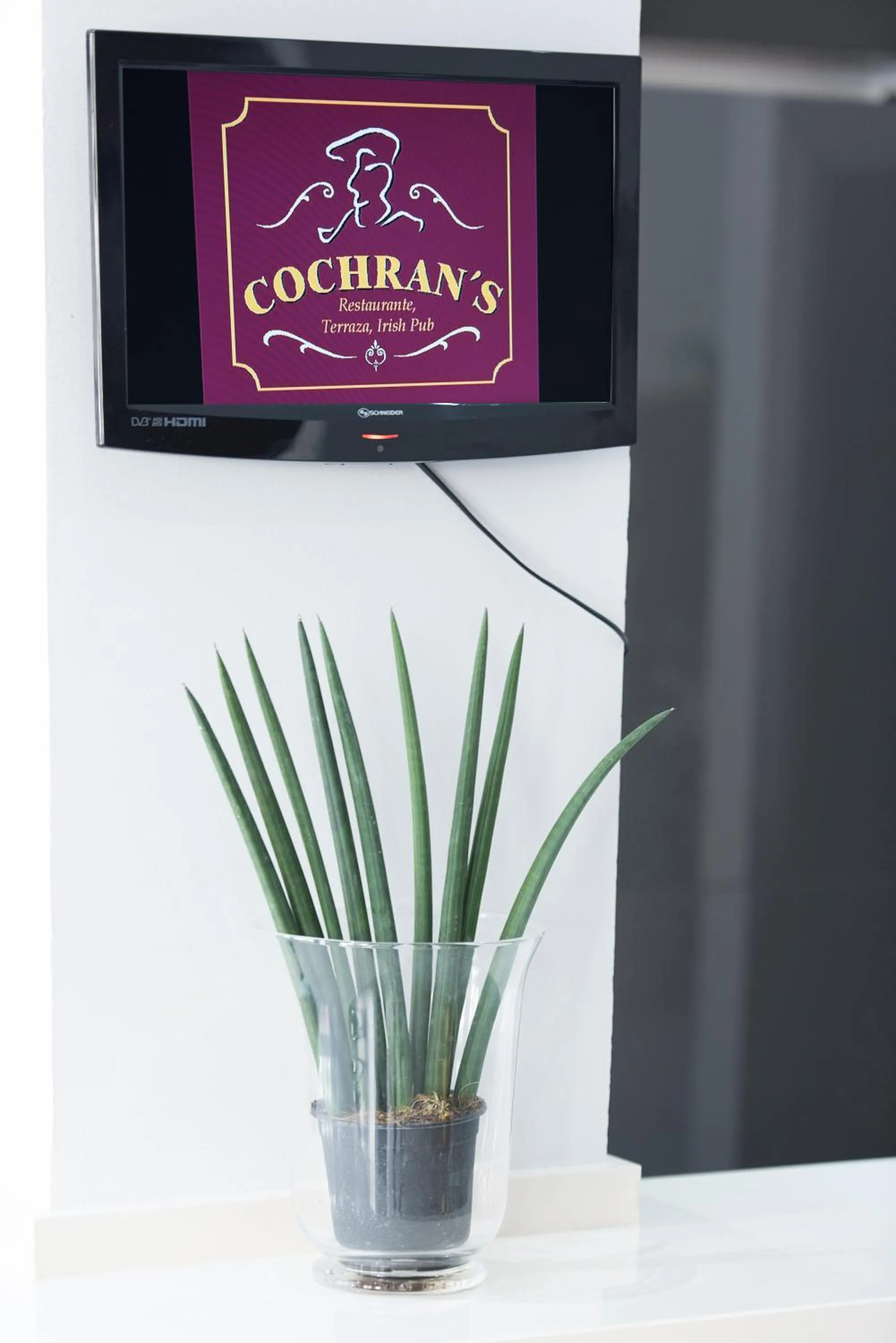 Property logo or sign in Hotel Toboso Chaparil