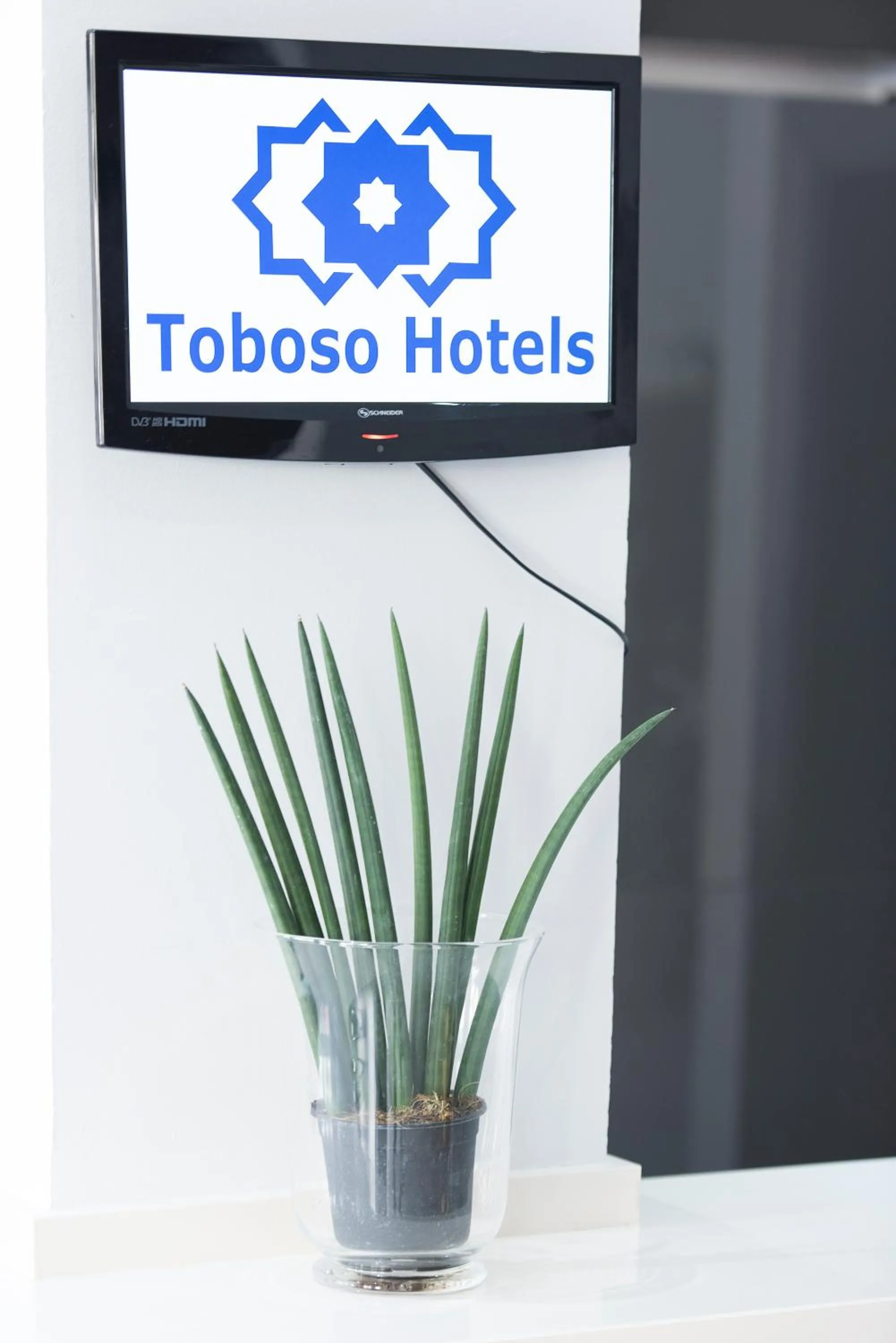 Property logo or sign in Hotel Toboso Chaparil
