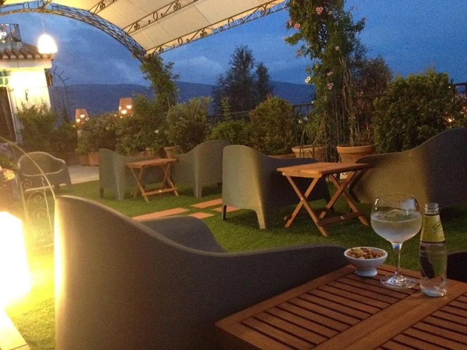 Garden in Hotel Alcadima