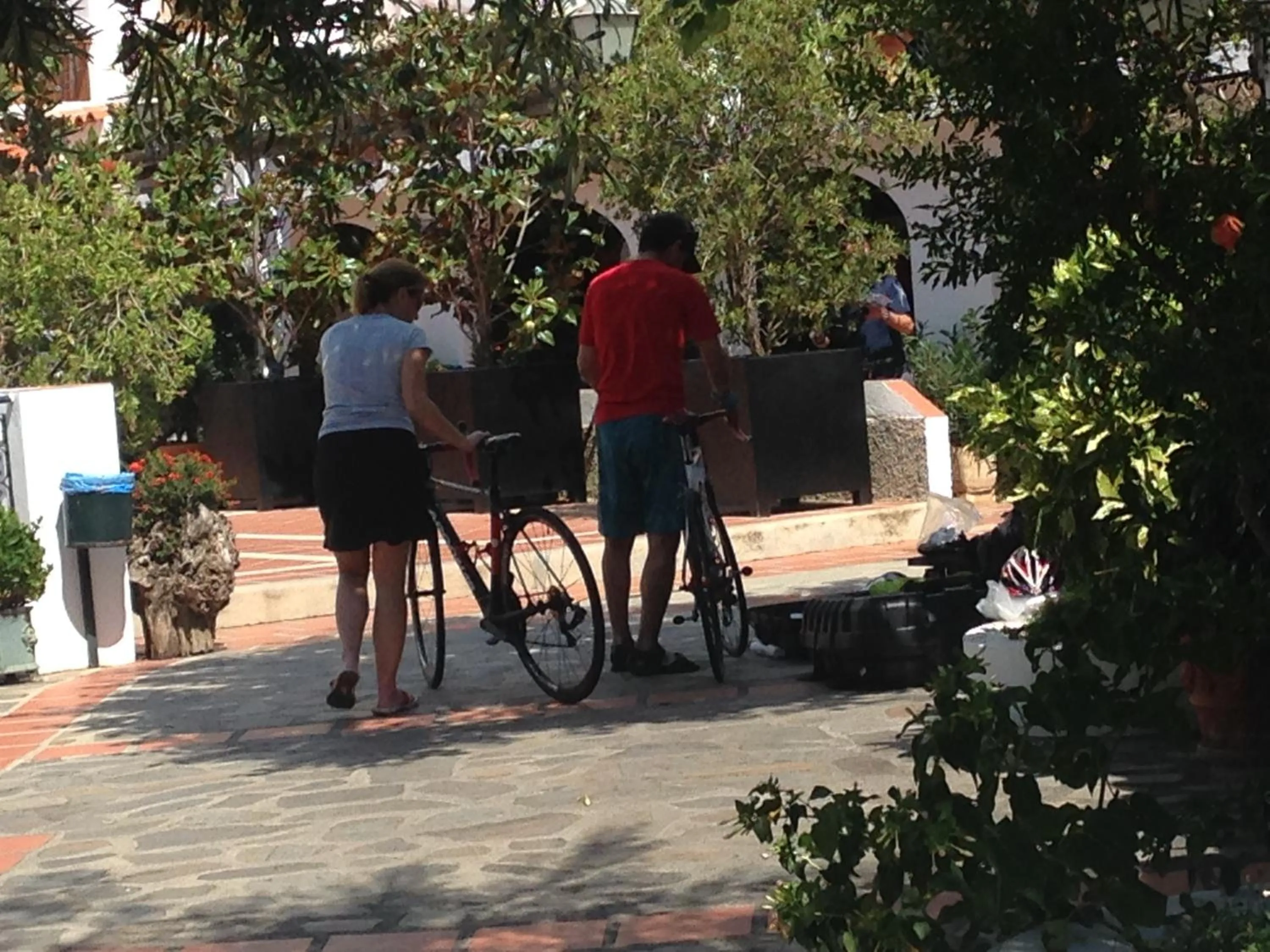 Cycling in Hotel Alcadima