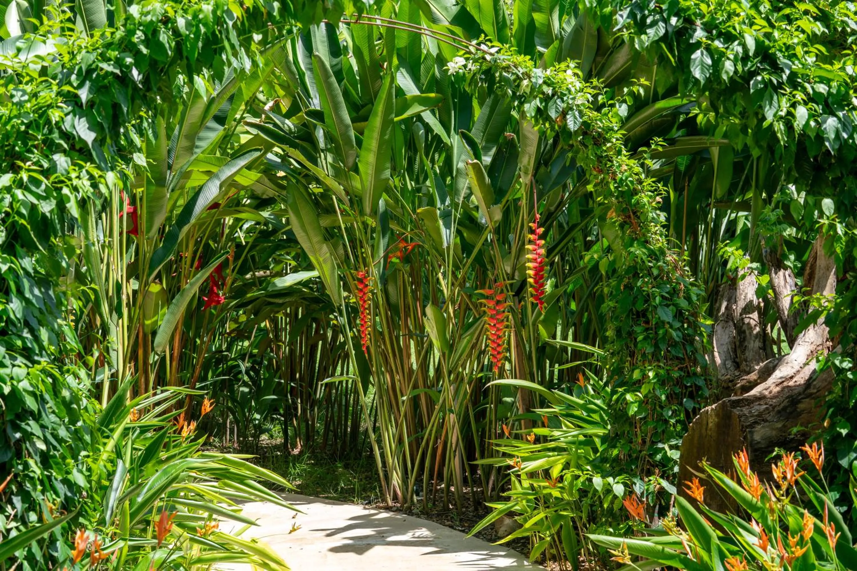 Garden in Nativa Refugio Escondido