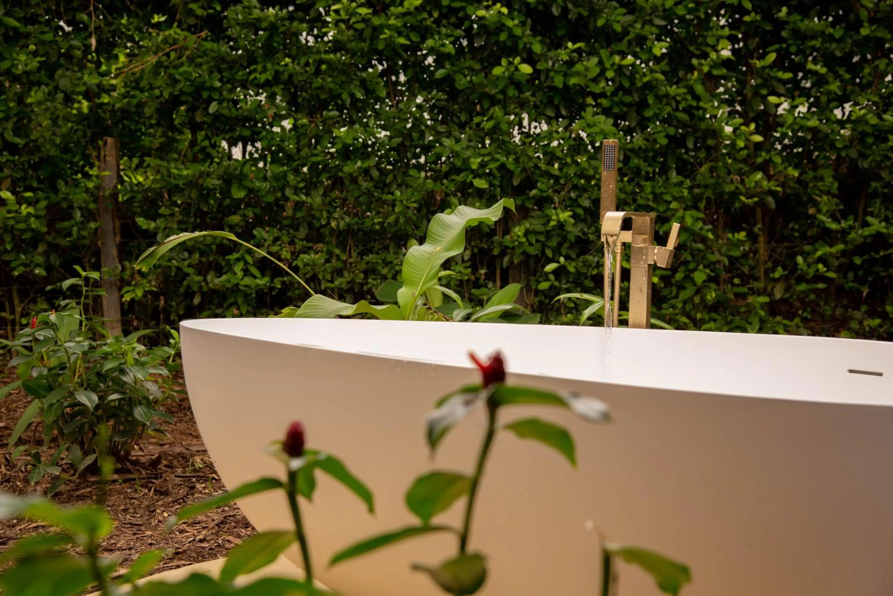 Garden in Nativa Refugio Escondido