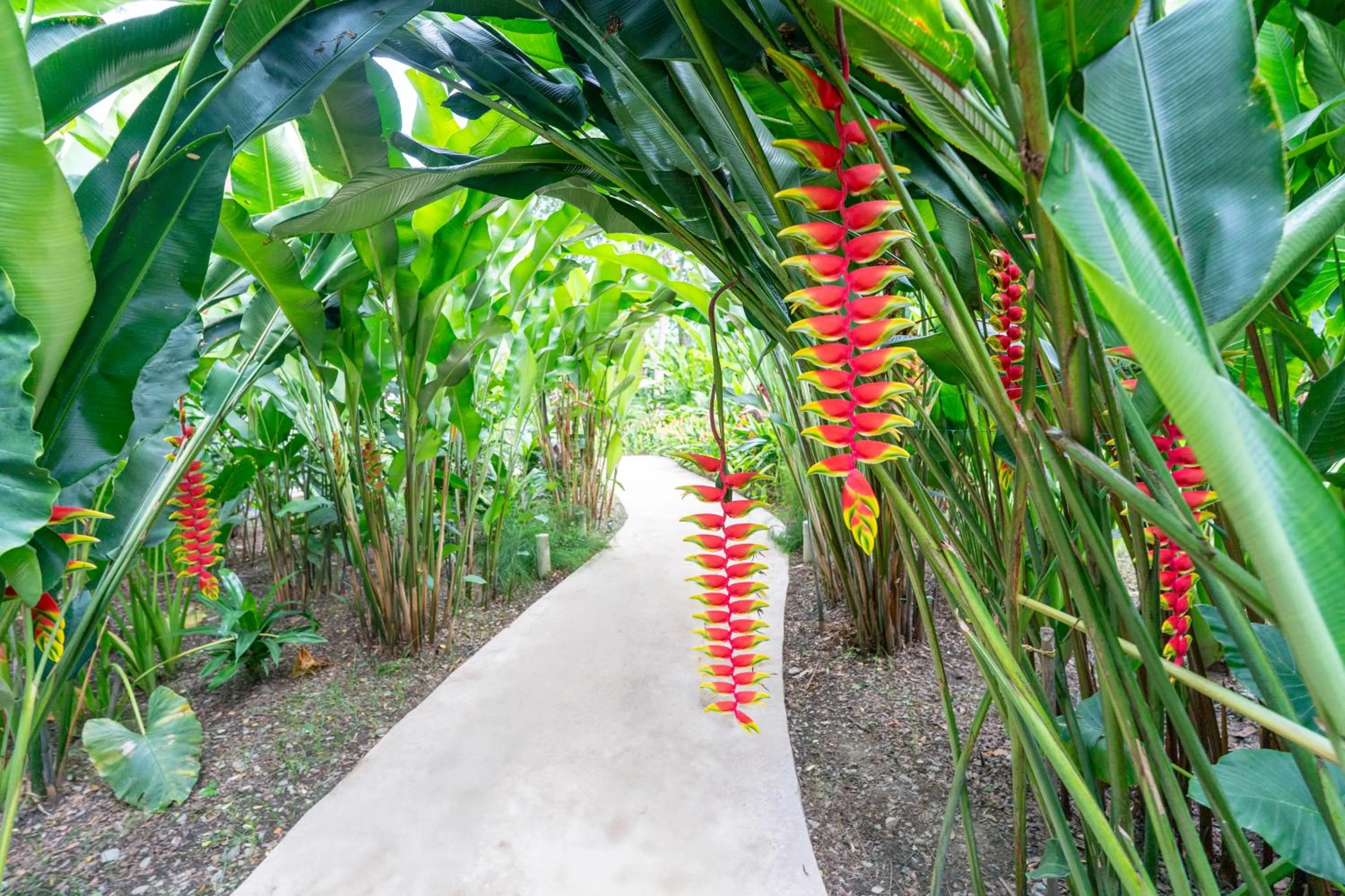 Garden in Nativa Refugio Escondido
