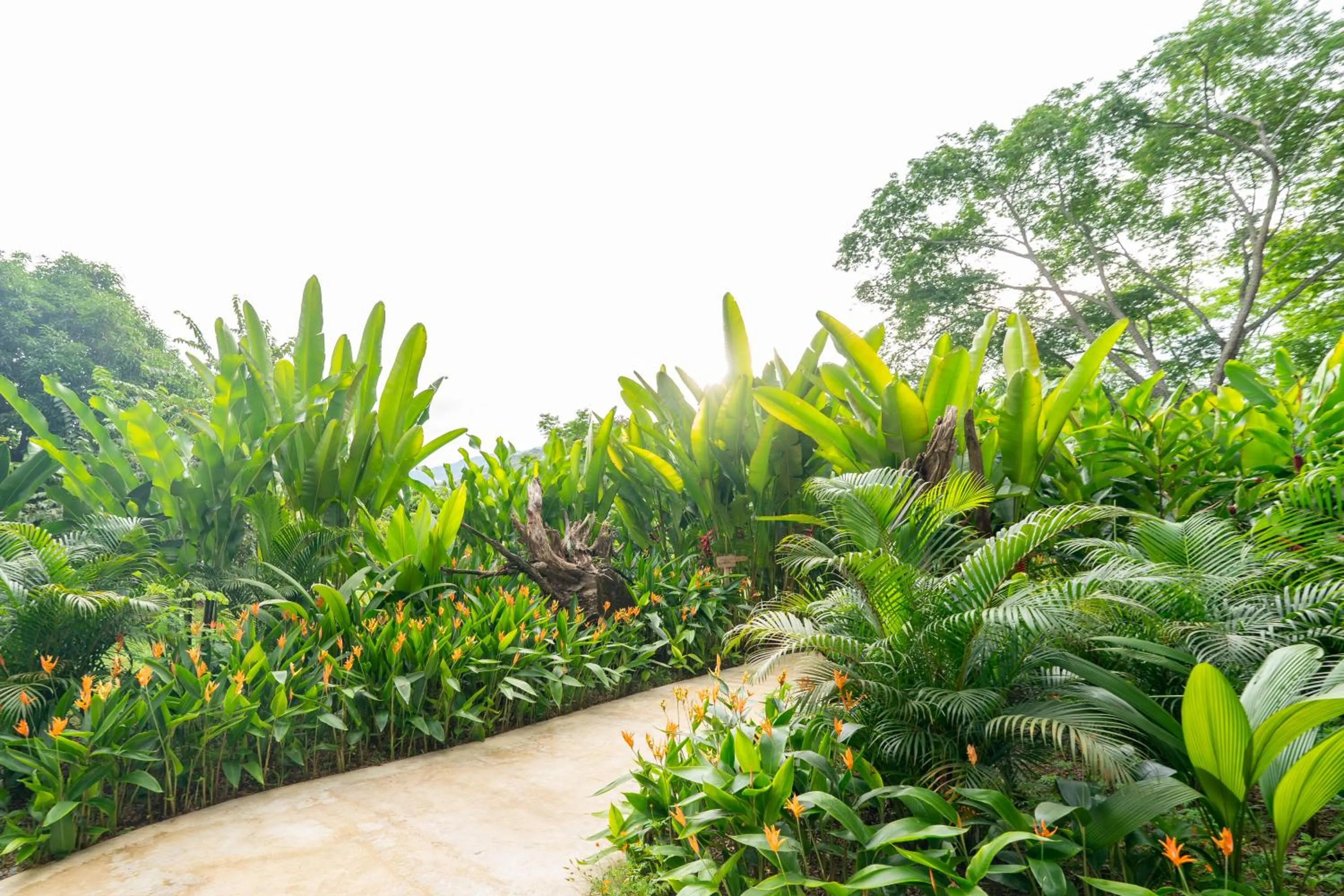 Garden in Nativa Refugio Escondido