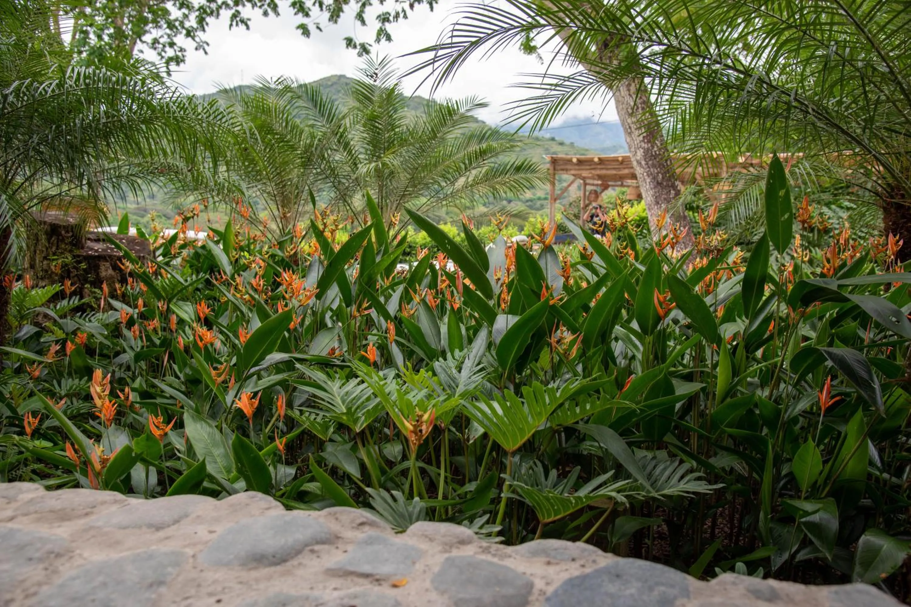 Nativa Refugio Escondido