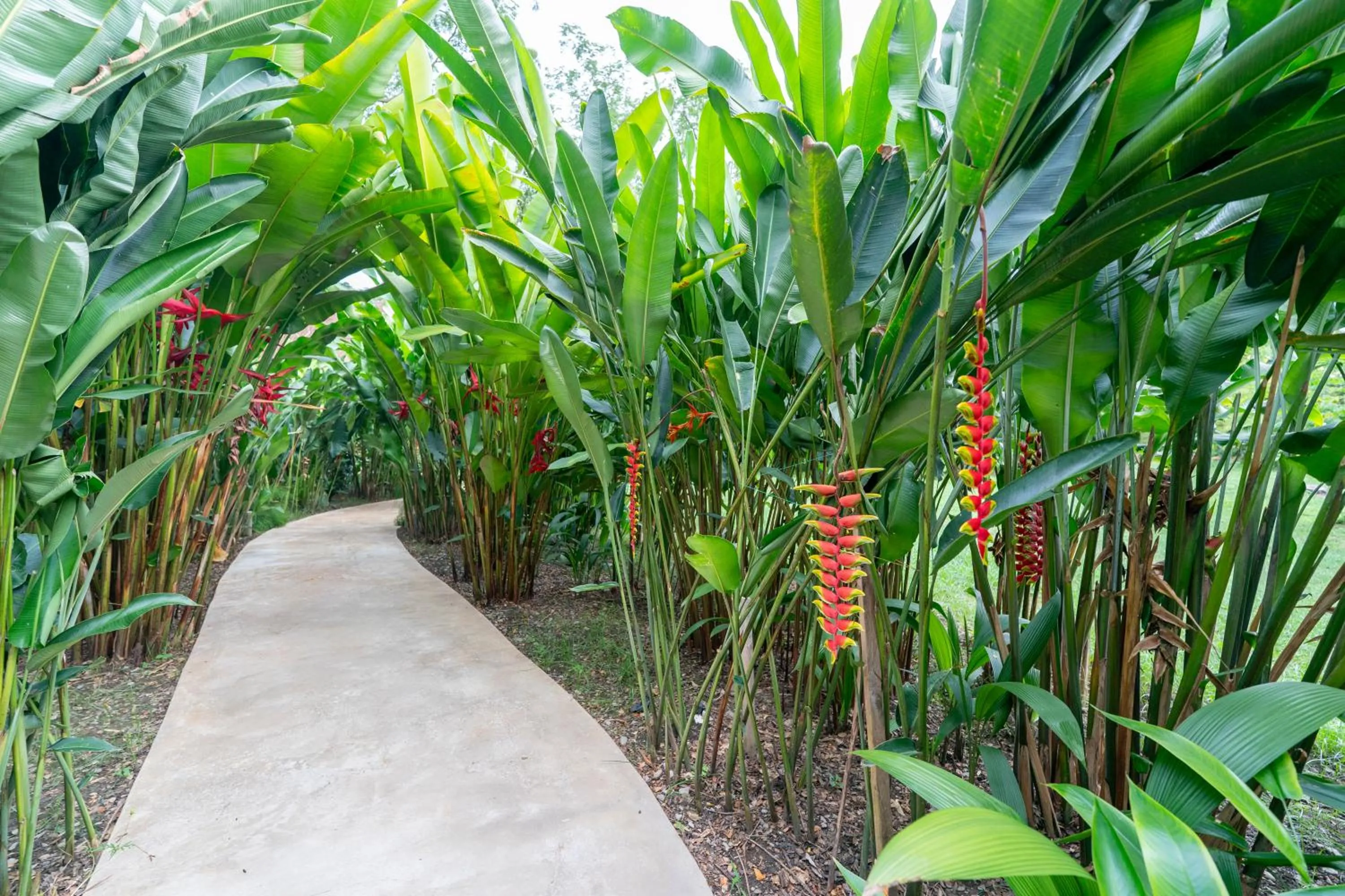 Garden in Nativa Refugio Escondido