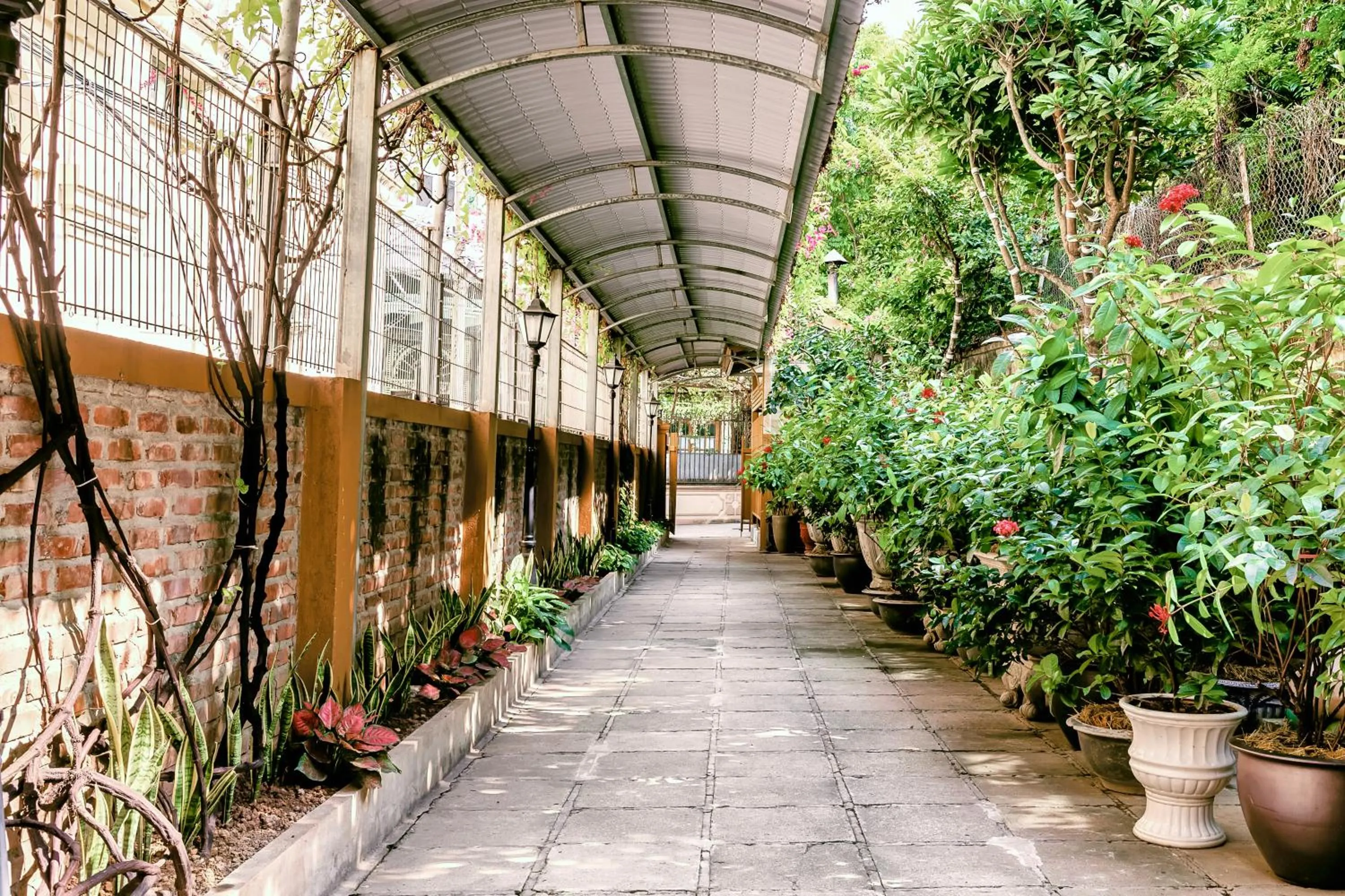 Garden in Trang Thanh Luxury Apartment