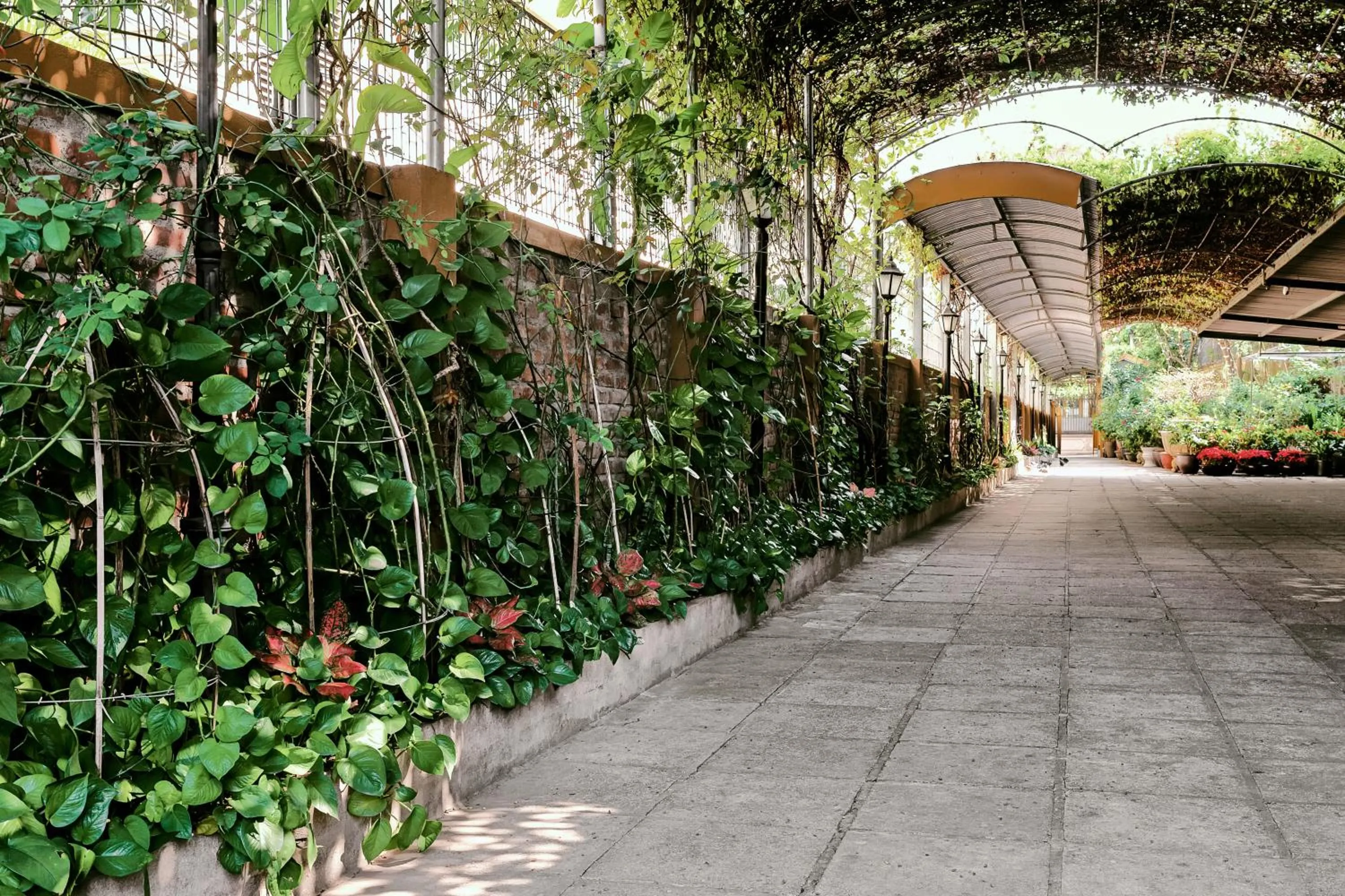 Garden in Trang Thanh Luxury Apartment