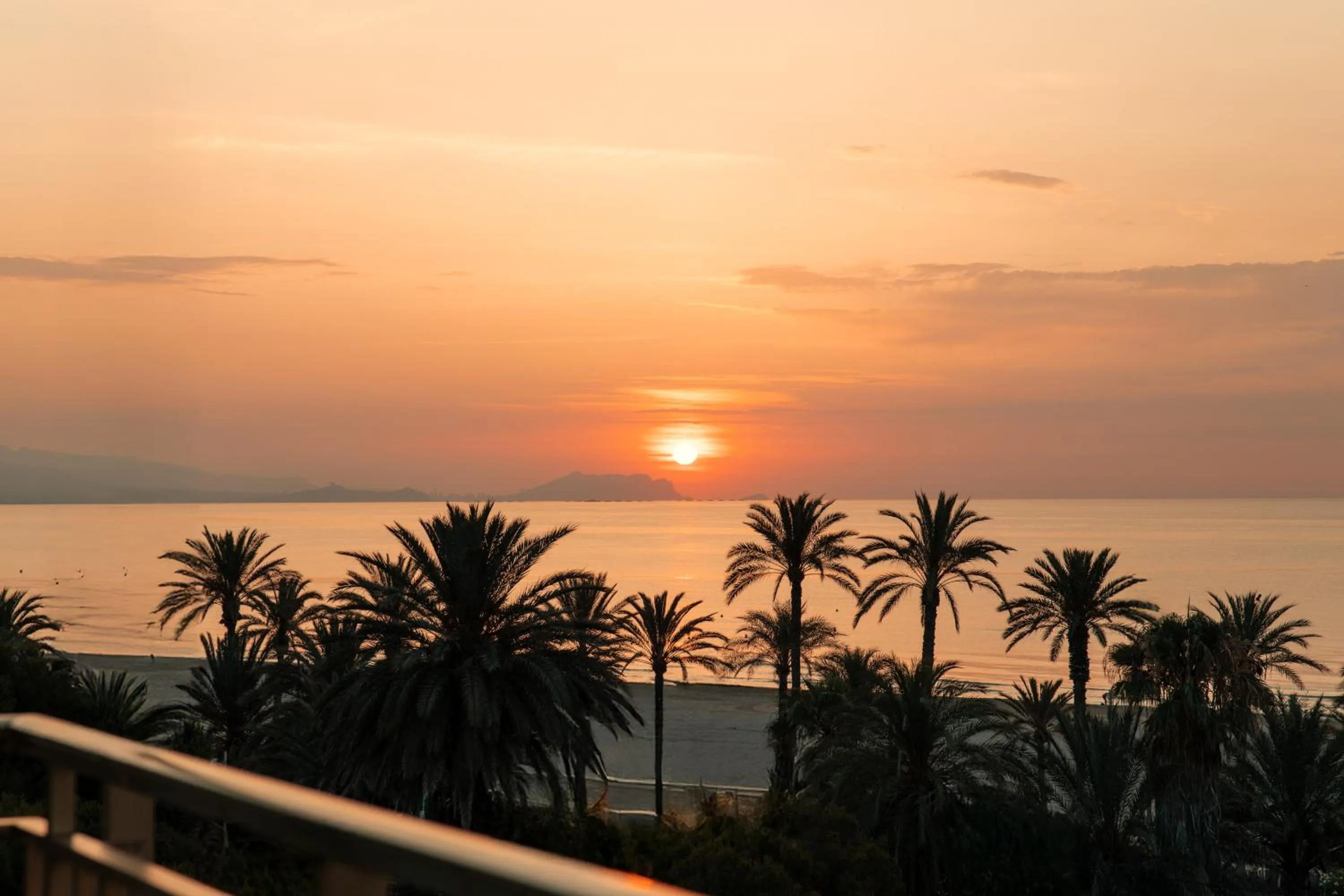 Natural landscape in Hotel Almirante
