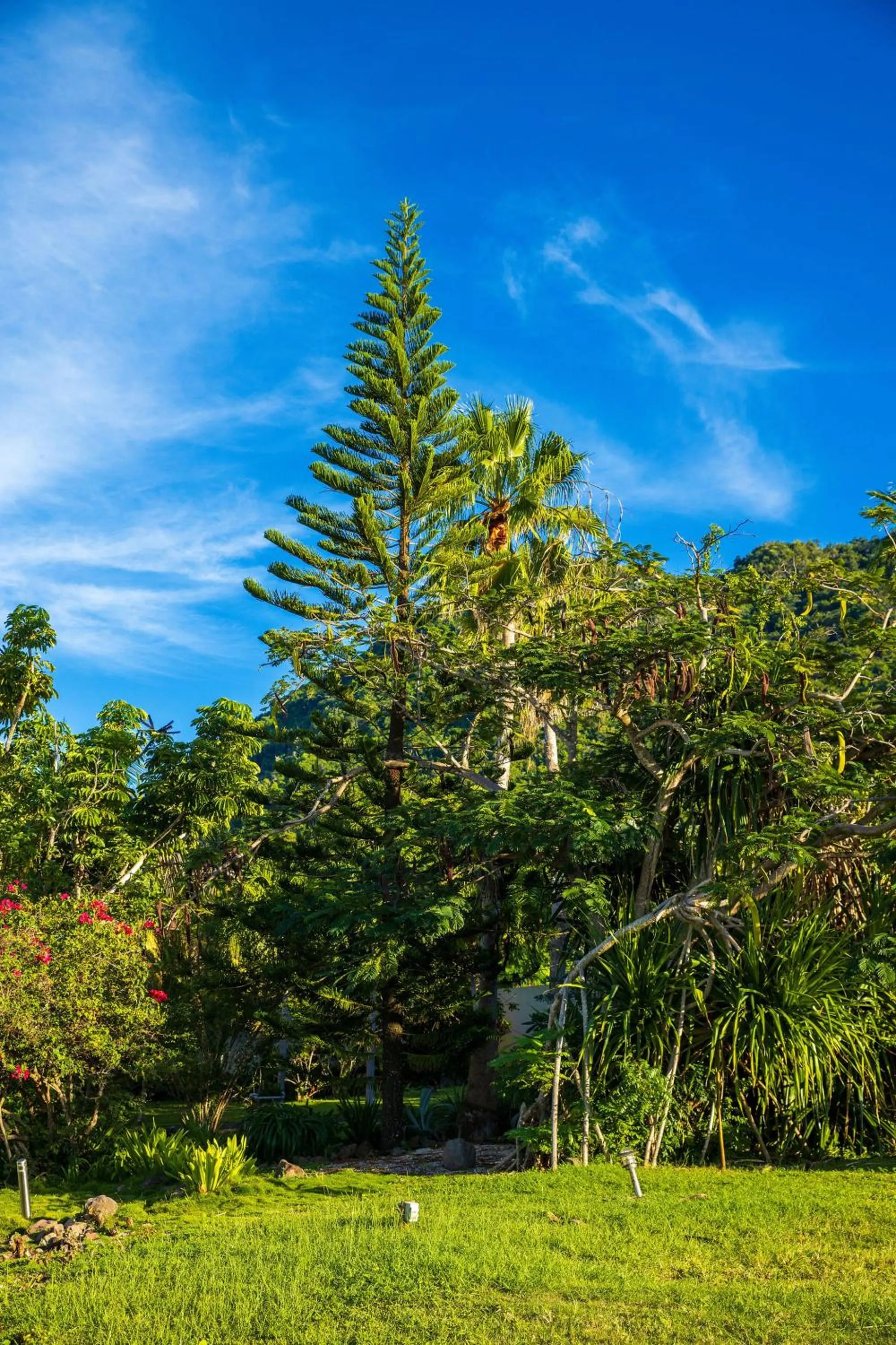 Spring in Quill Gardens Boutique Hotel