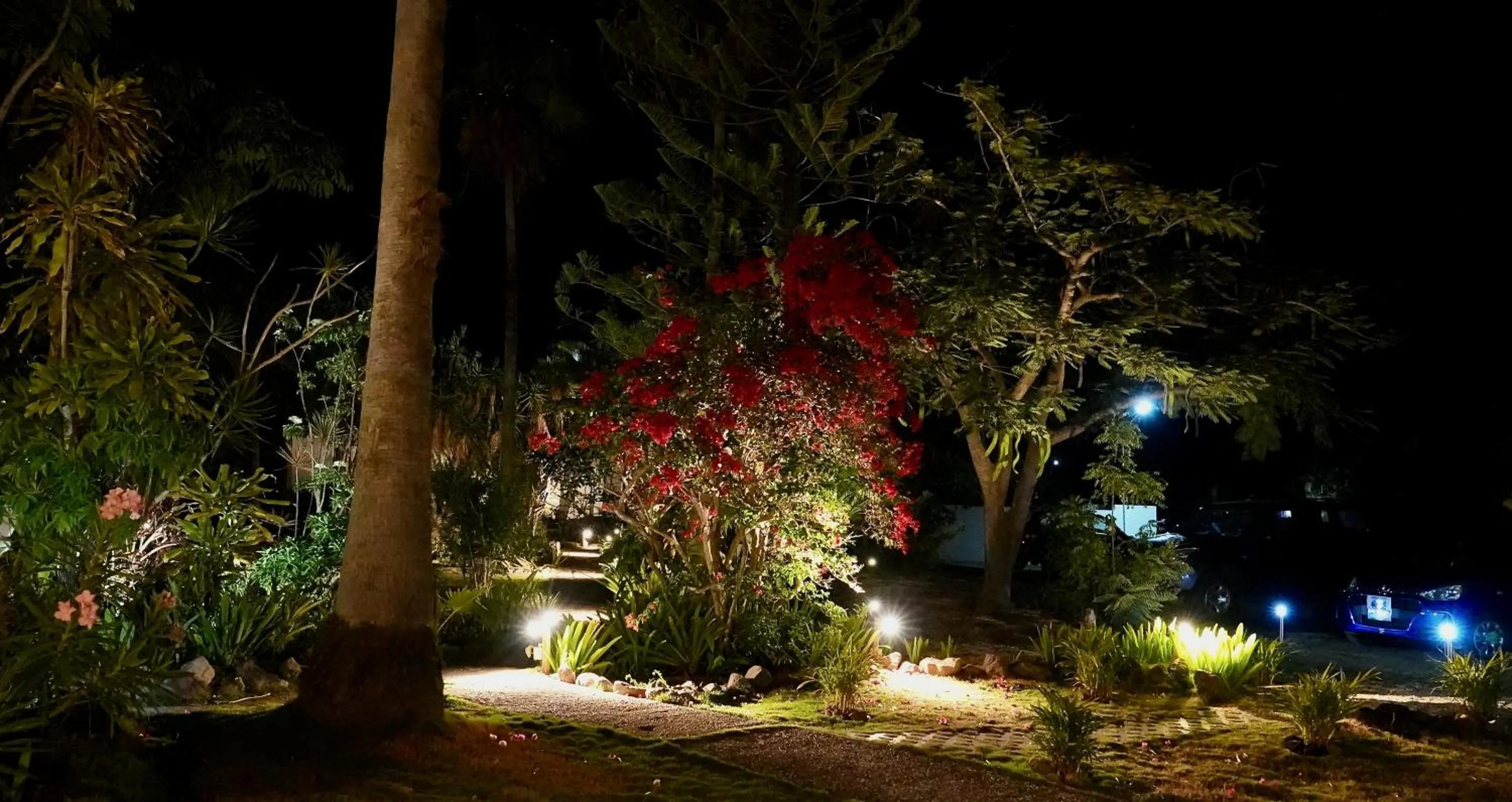 Night in Quill Gardens Boutique Hotel