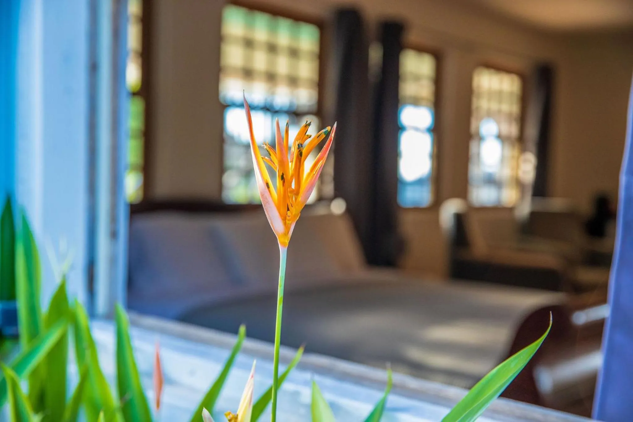 Garden, Bed in Quill Gardens Boutique Hotel