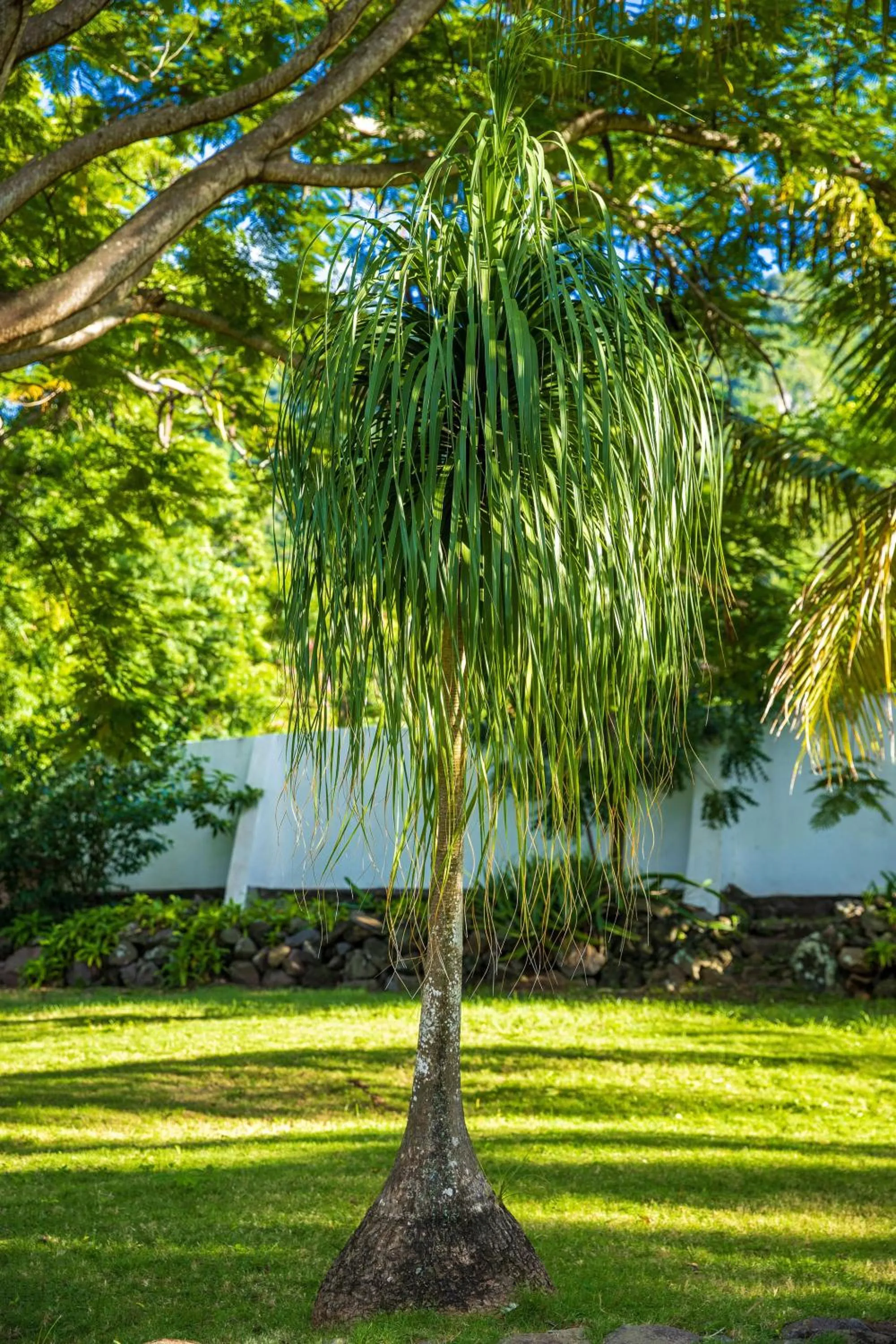 Spring in Quill Gardens Boutique Hotel