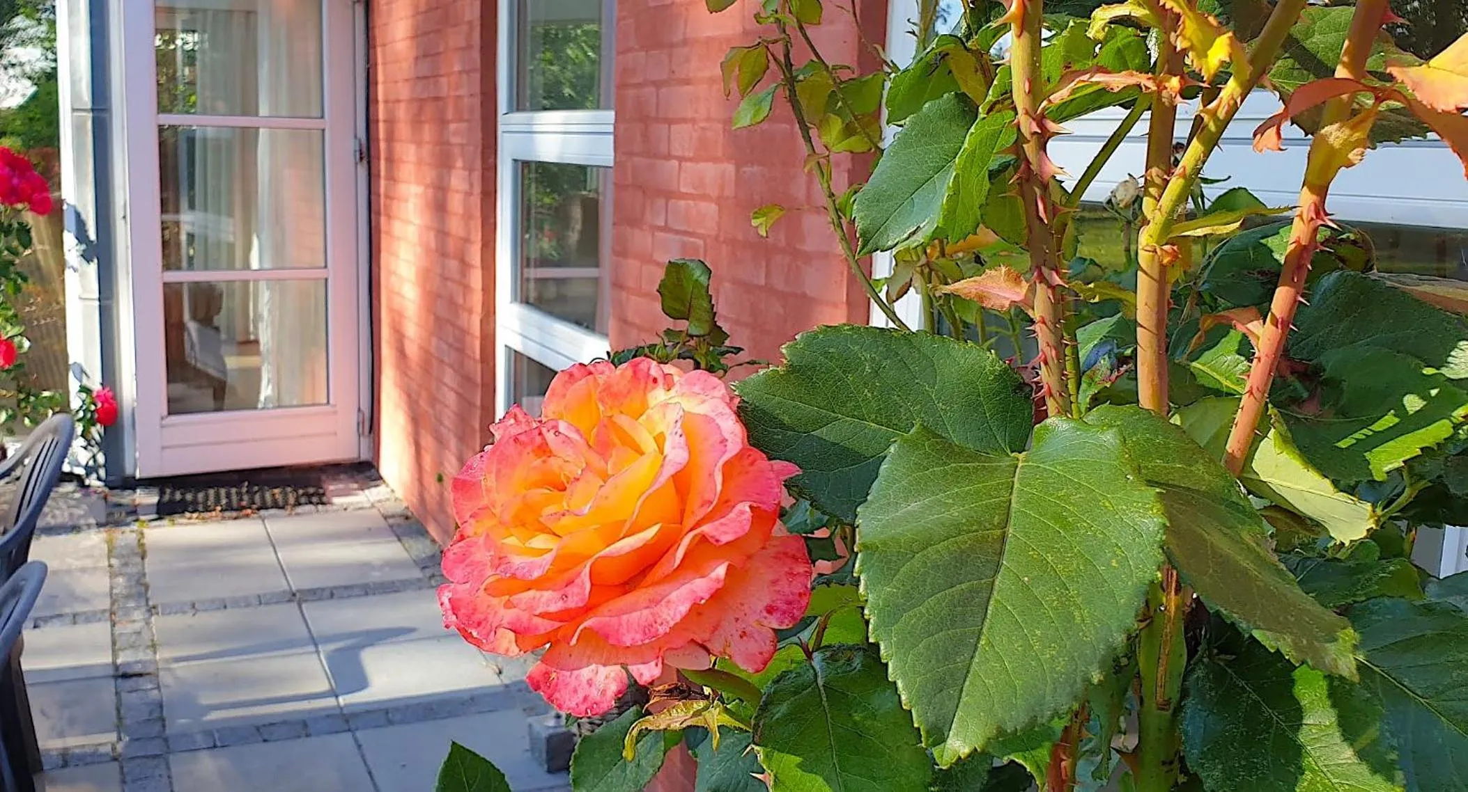Garden view in Farmors Hus