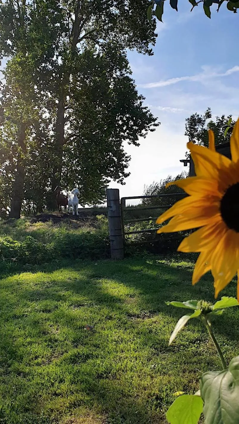 Natural landscape in Farmors Hus