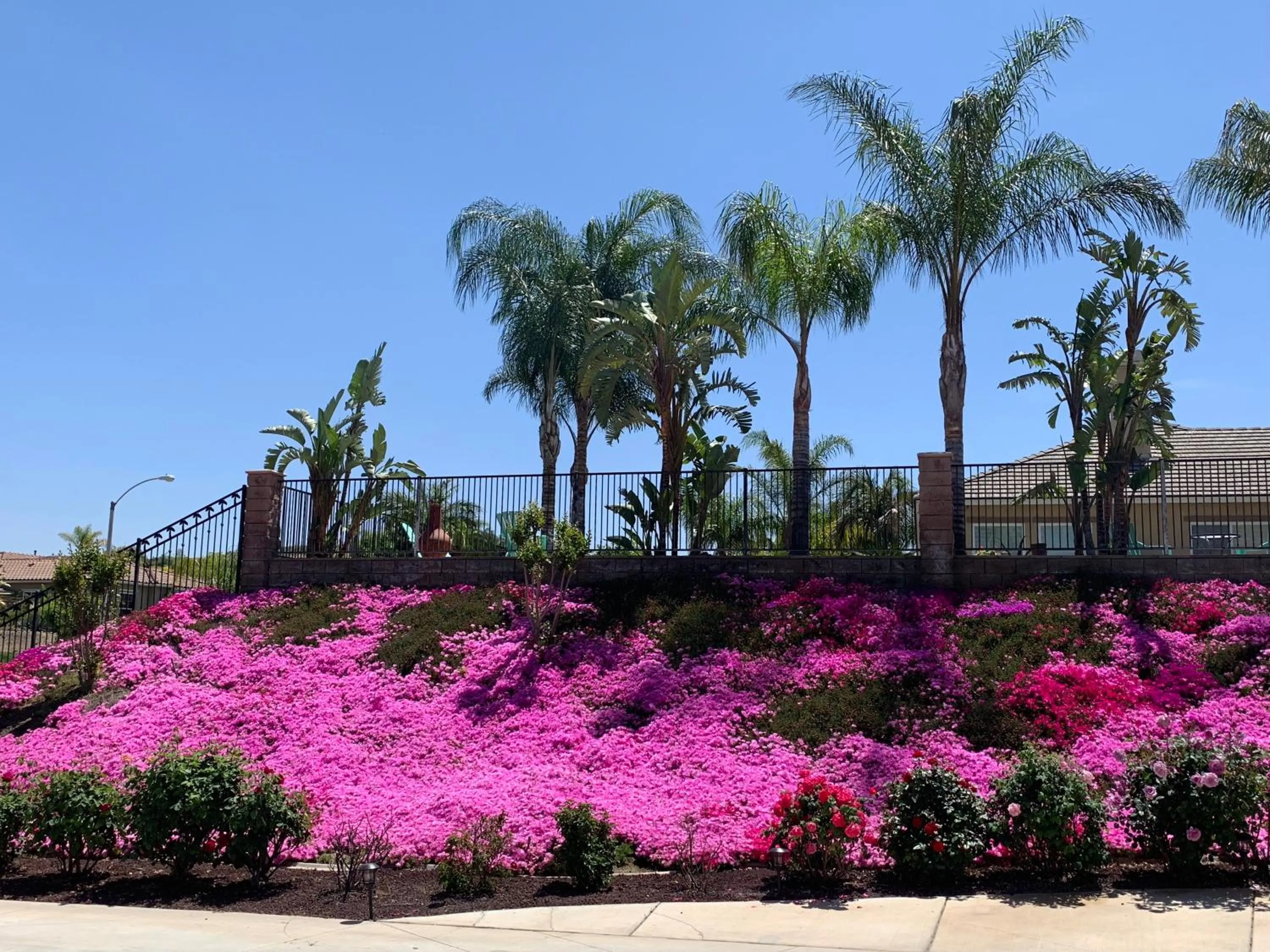 Garden view in High End Triplex with Pool