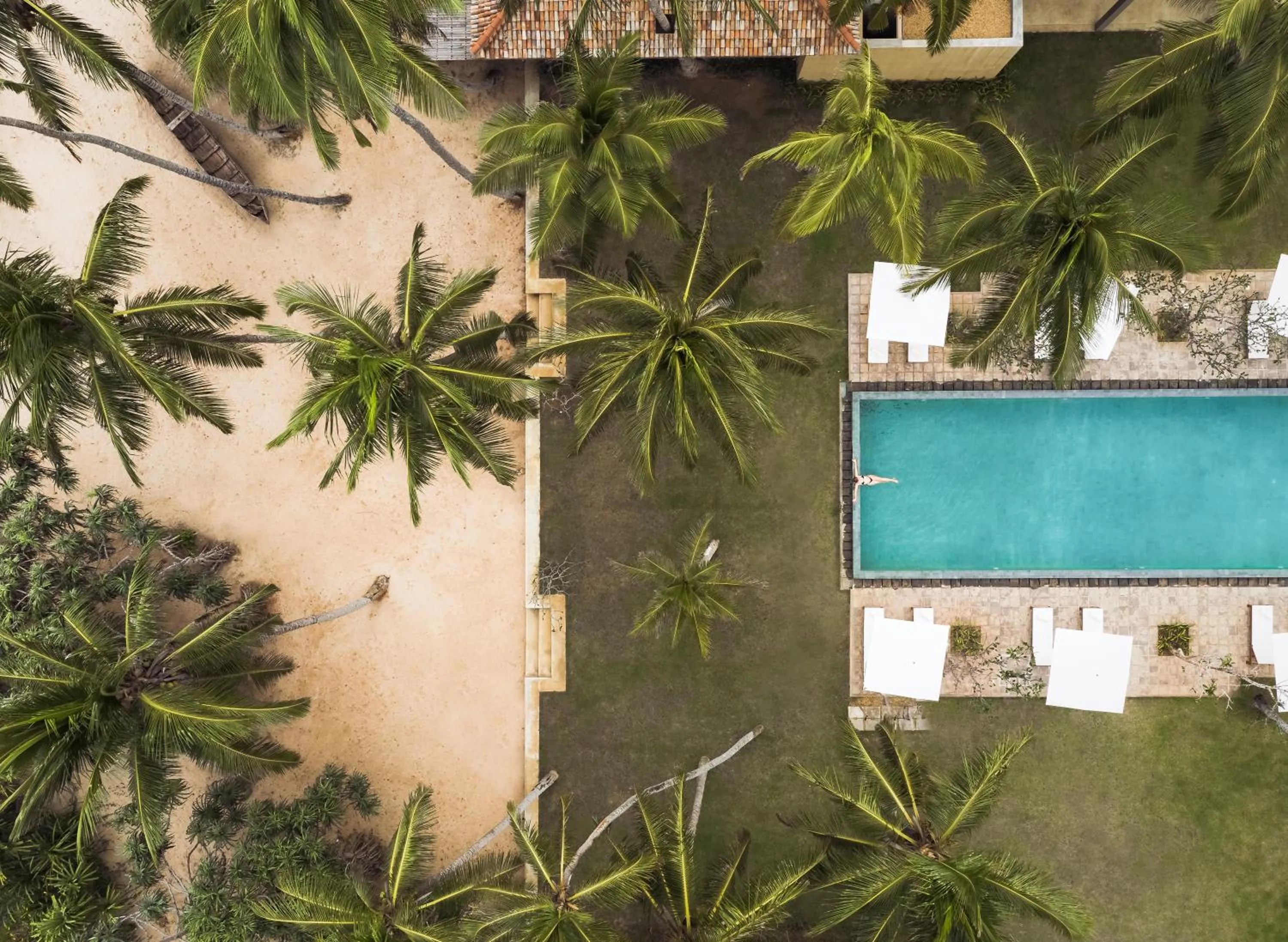 Bird's eye view in Kayaam Wellness