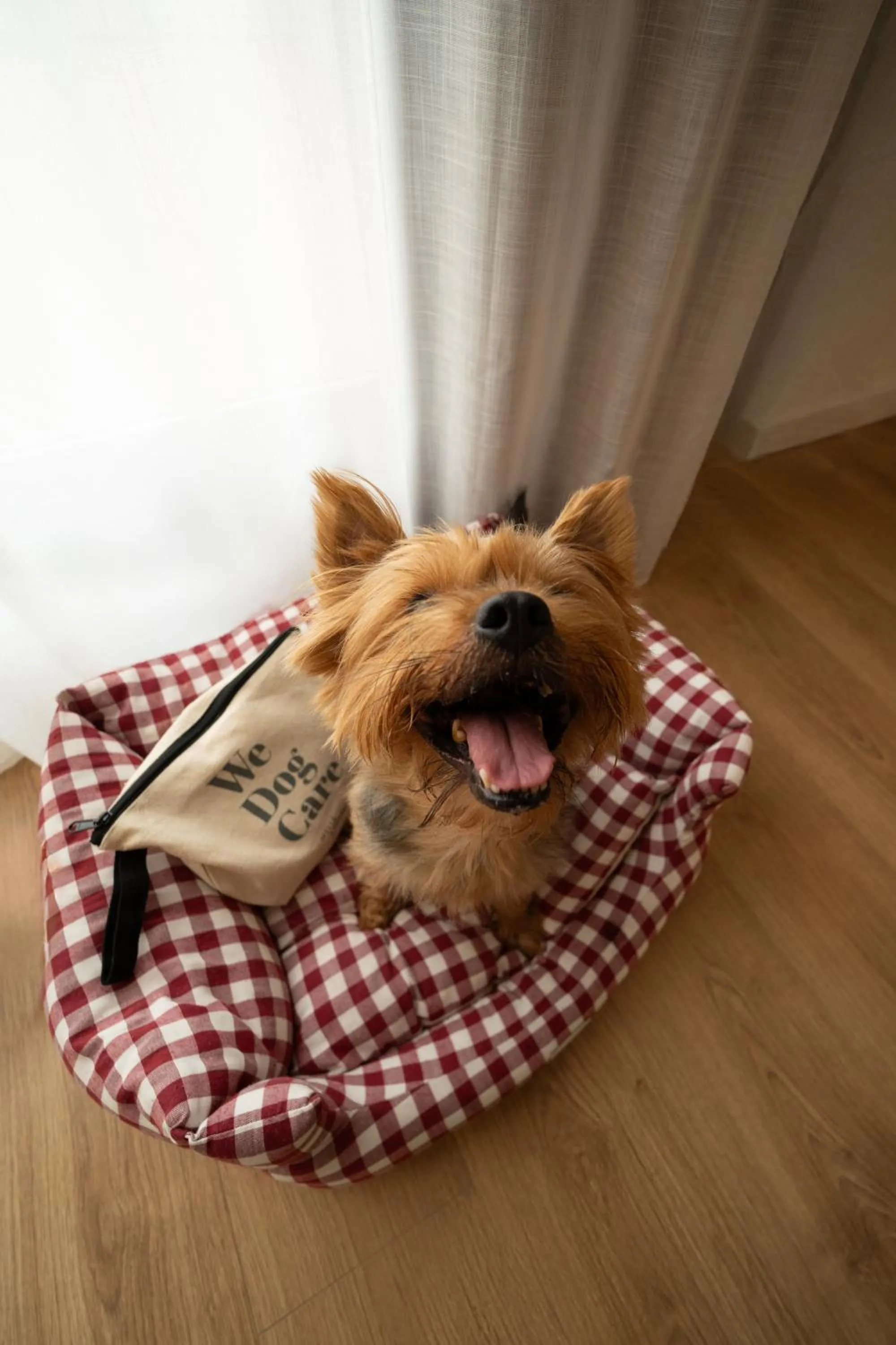 Animals in INNSiDE by Melia Valencia Oceanic