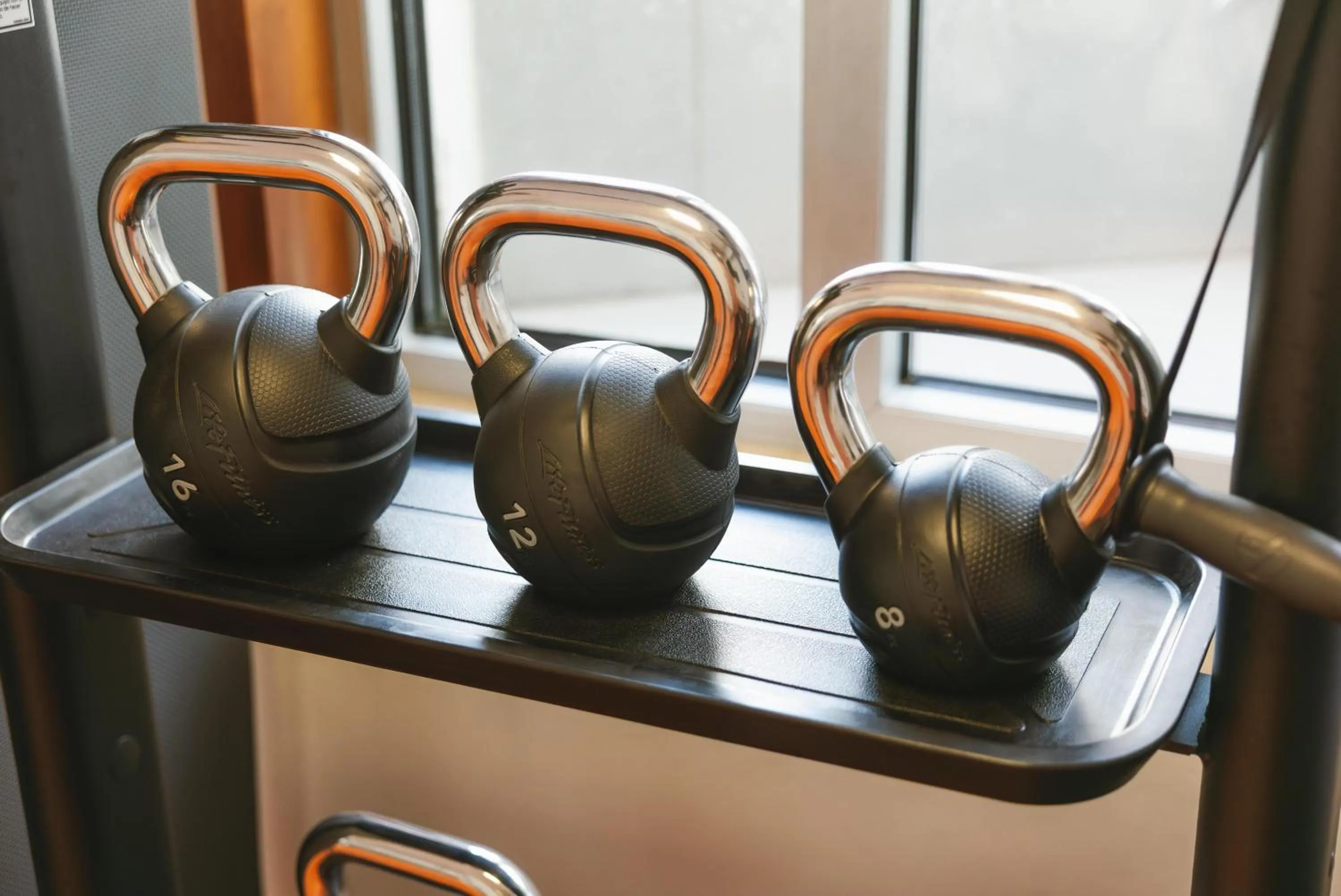 Activities in Port Azafata Valencia