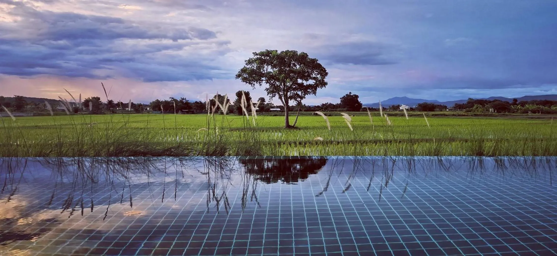 Pool view in Rice Villa Chiang Mai