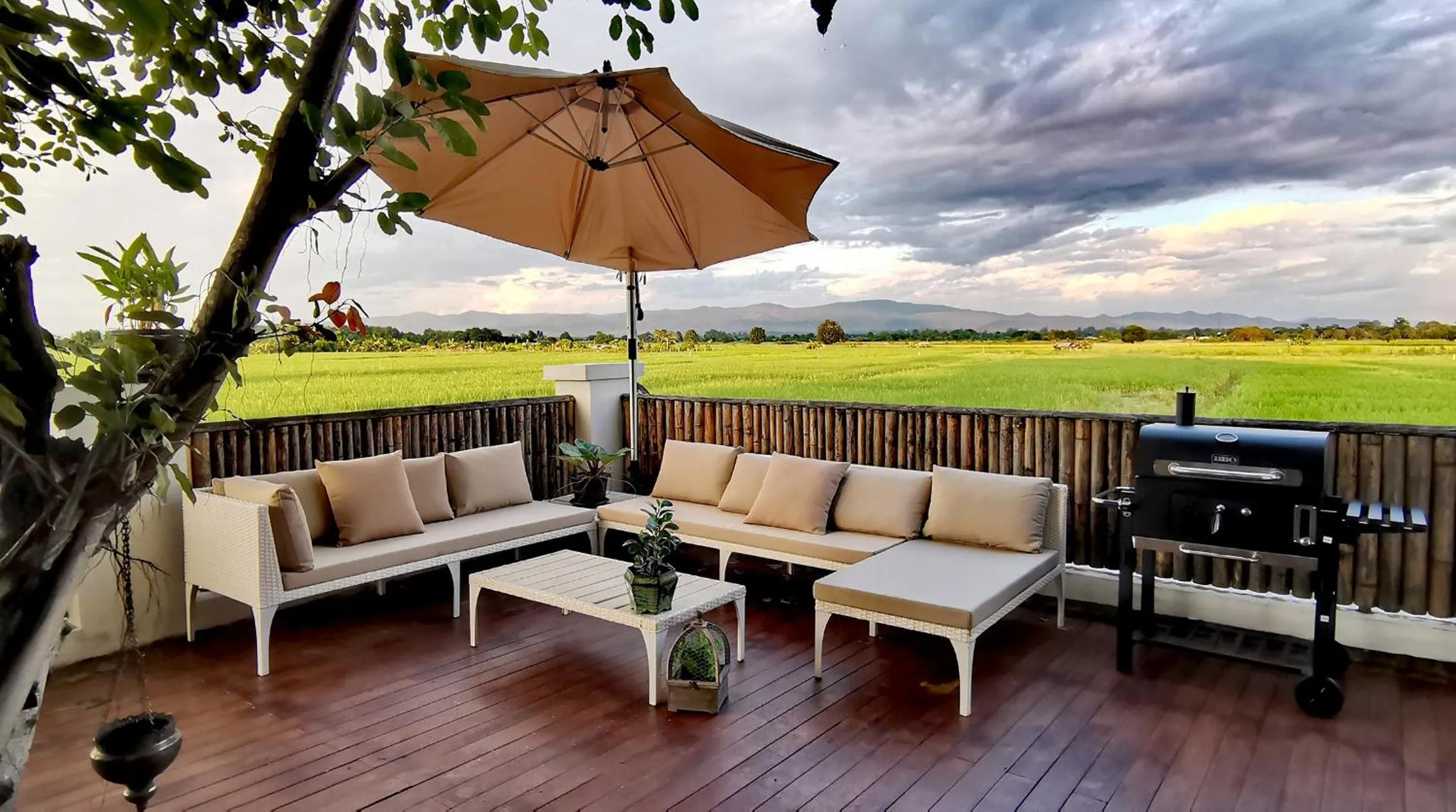 Natural landscape in Rice Villa Chiang Mai