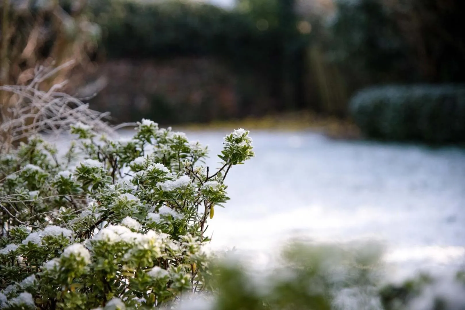 Rose Cottage in Lavenham