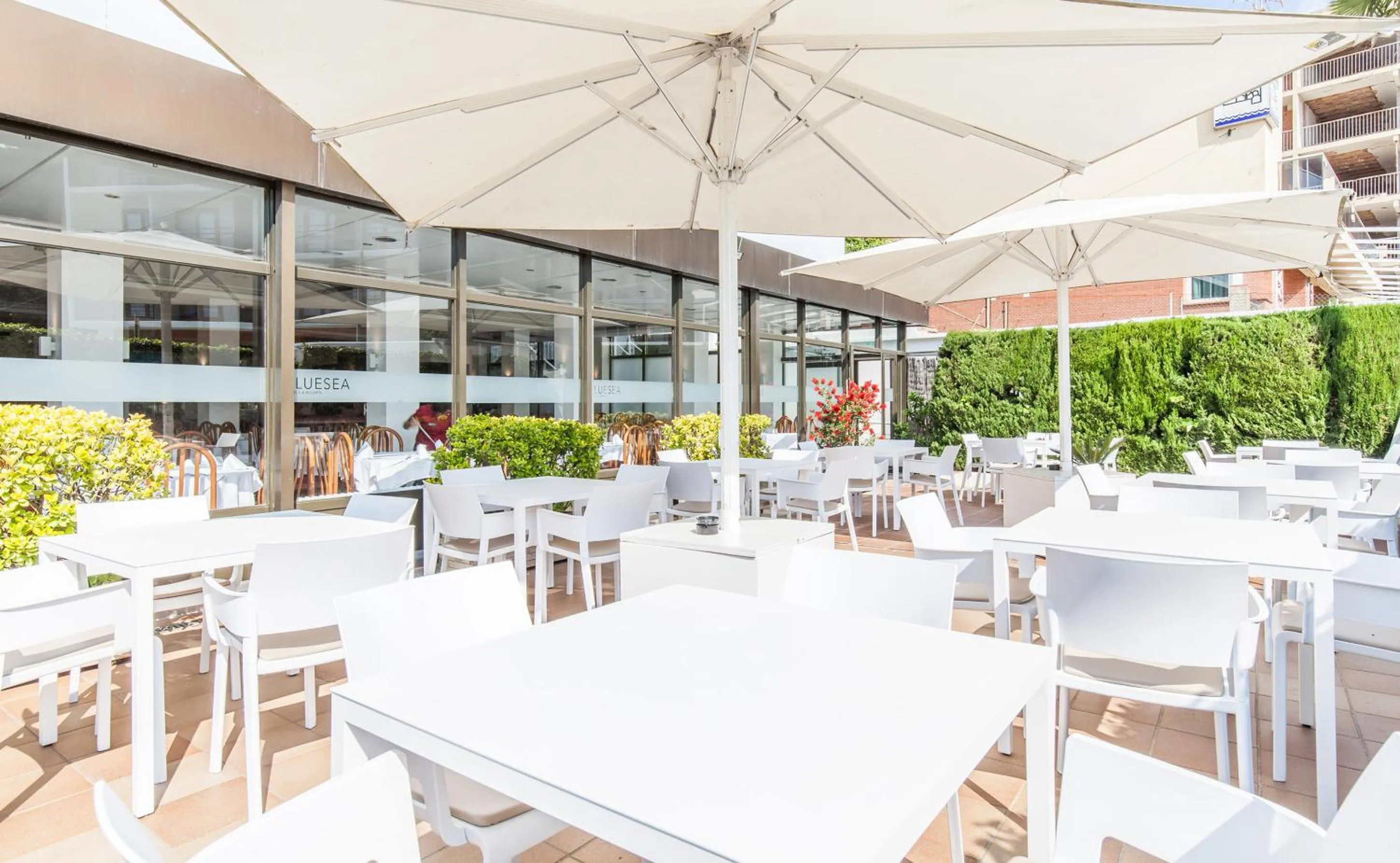 Area and facilities in BLUESEA Montevista Hawai