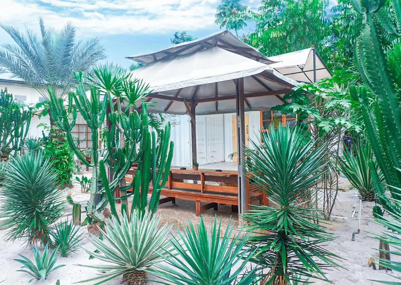 Garden in Danka Vacation Home