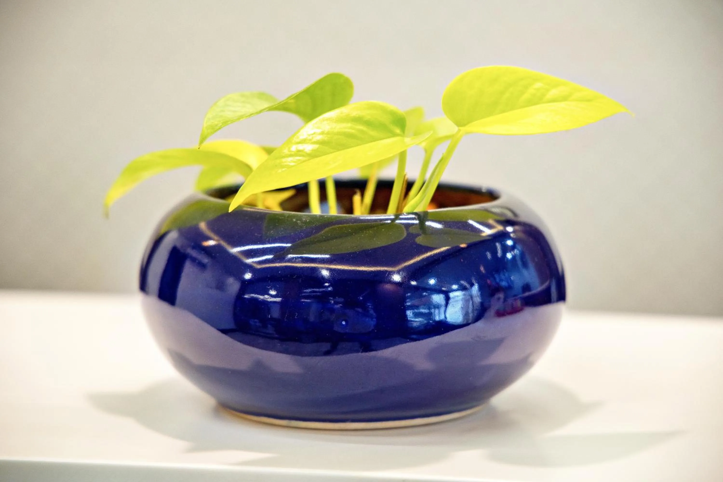 Decorative detail in Villa Grand Hotel Near Kempegowda International Airport