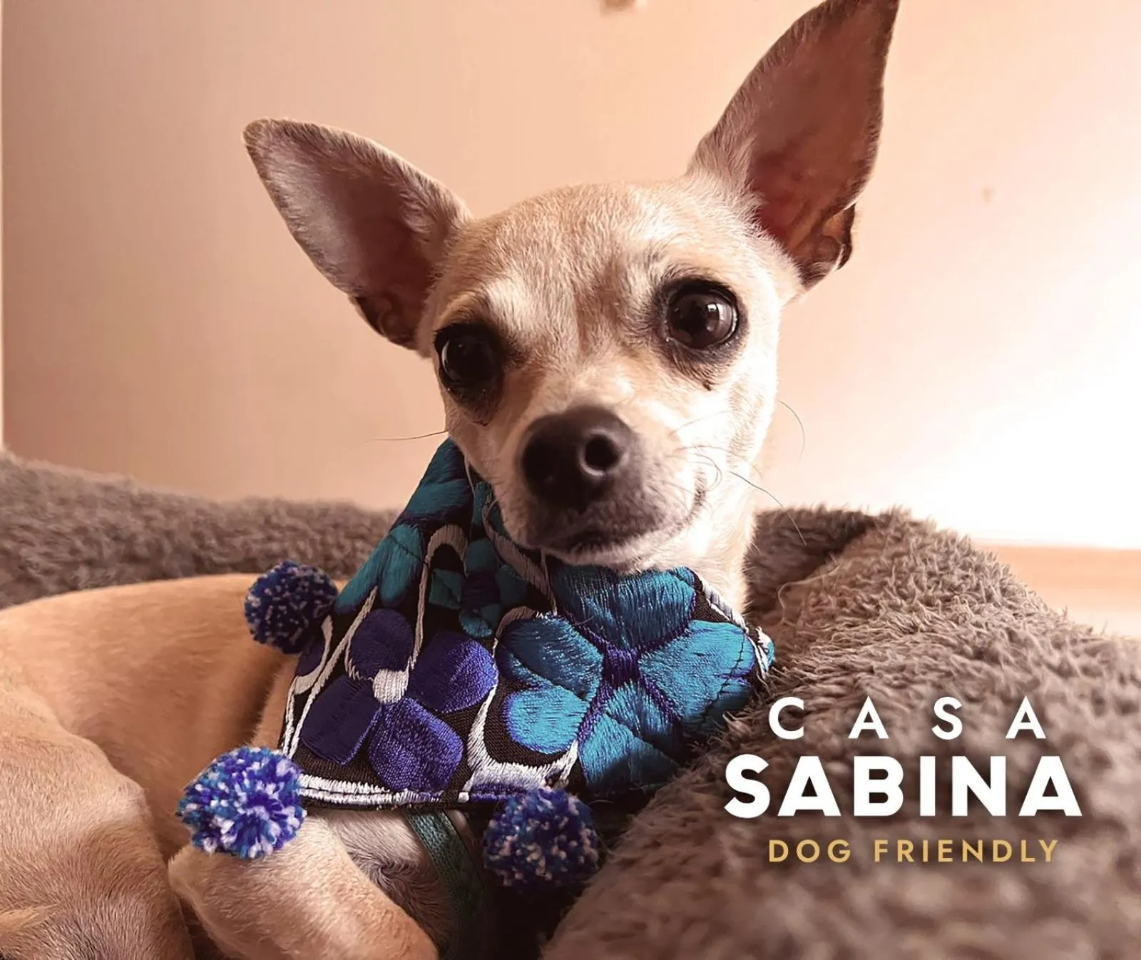 Casa Sabina Down Town Mexico City