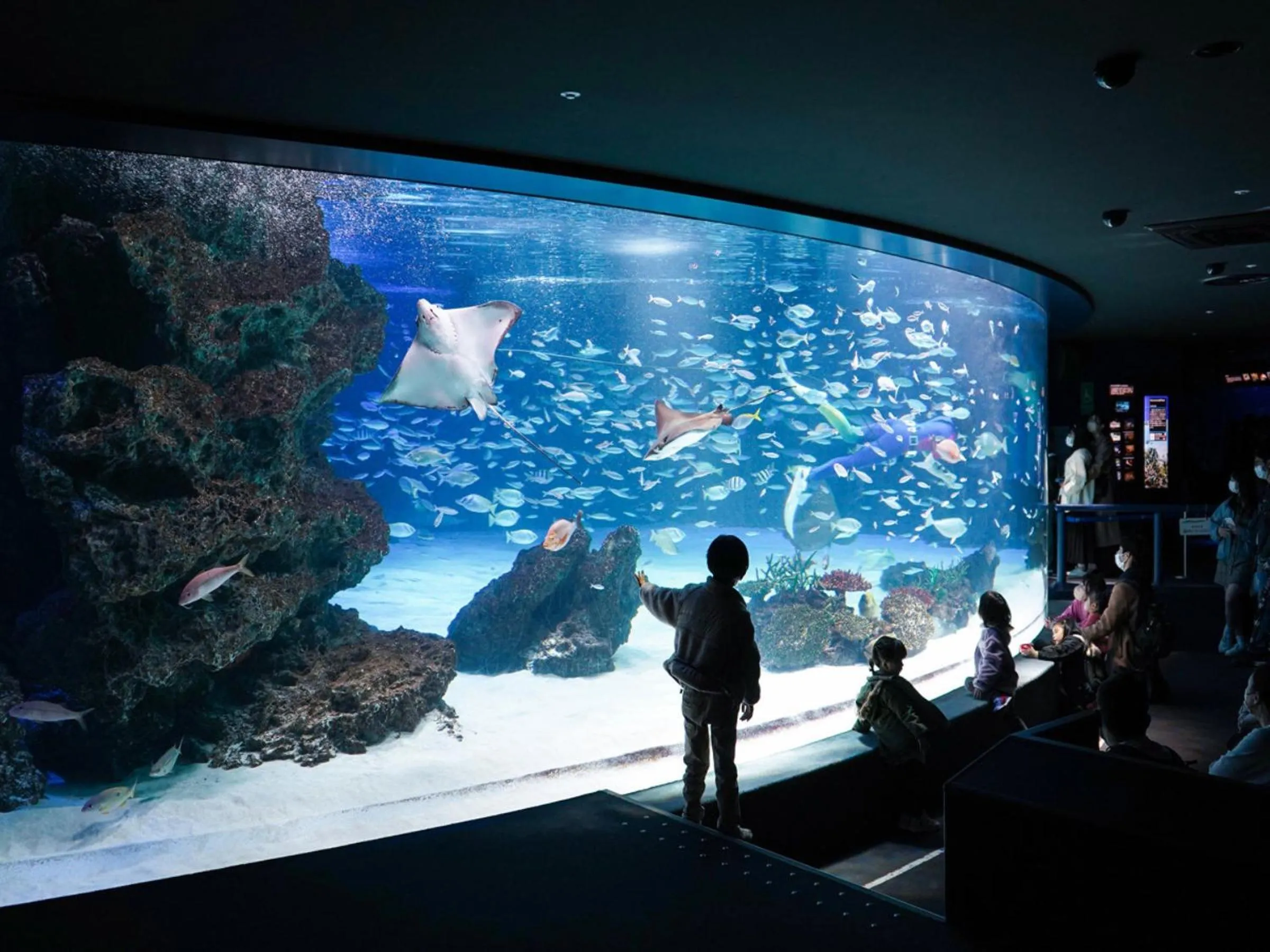 Off site in Vessel Inn Takadanobaba Station