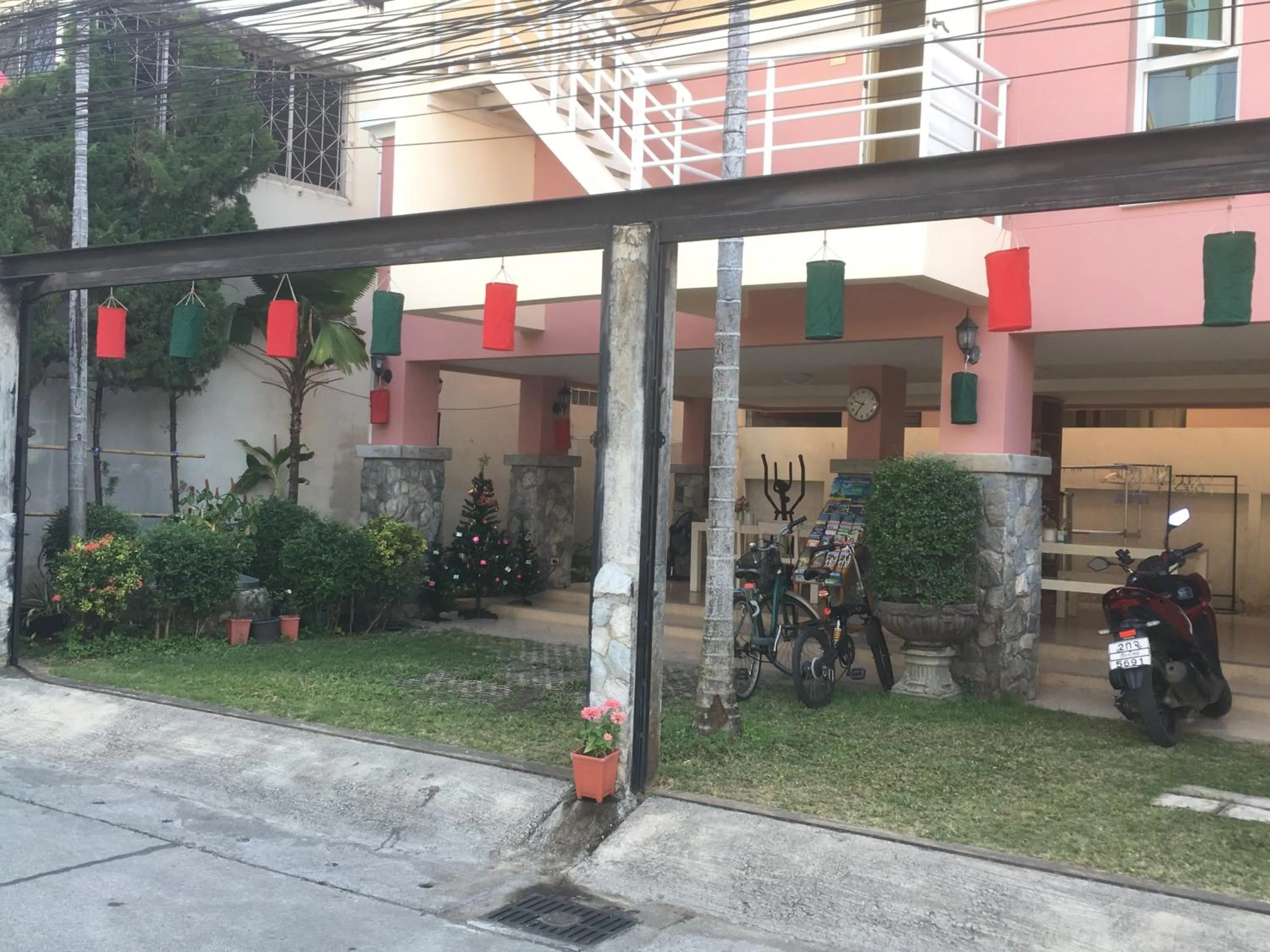 Garden in Triple Palms House