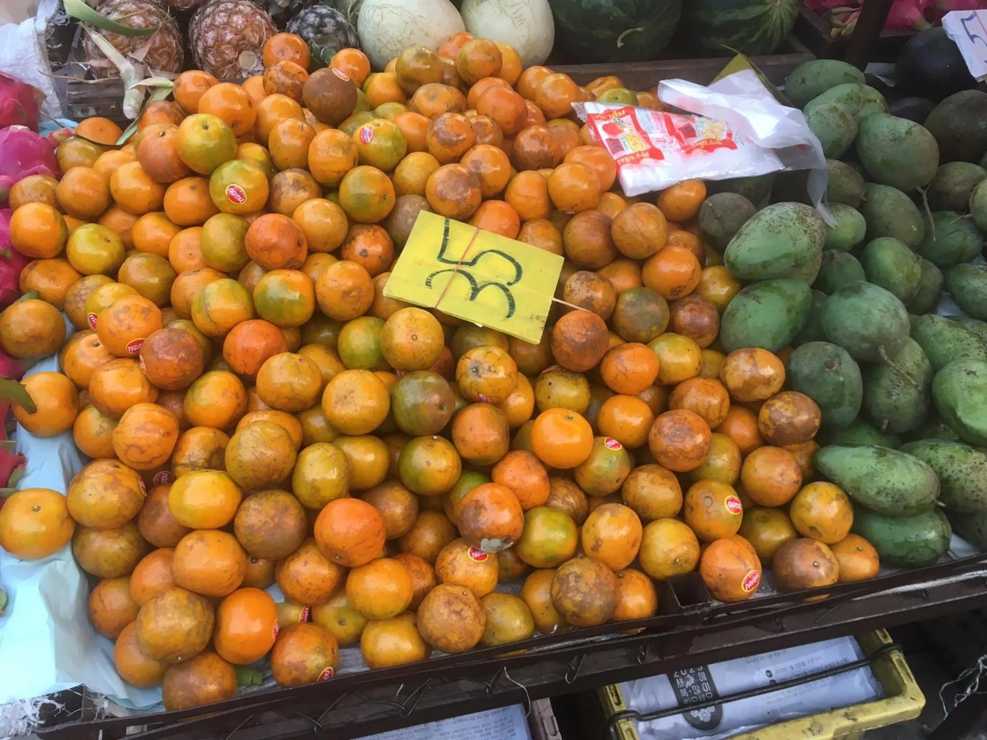 Off site in Triple Palms House