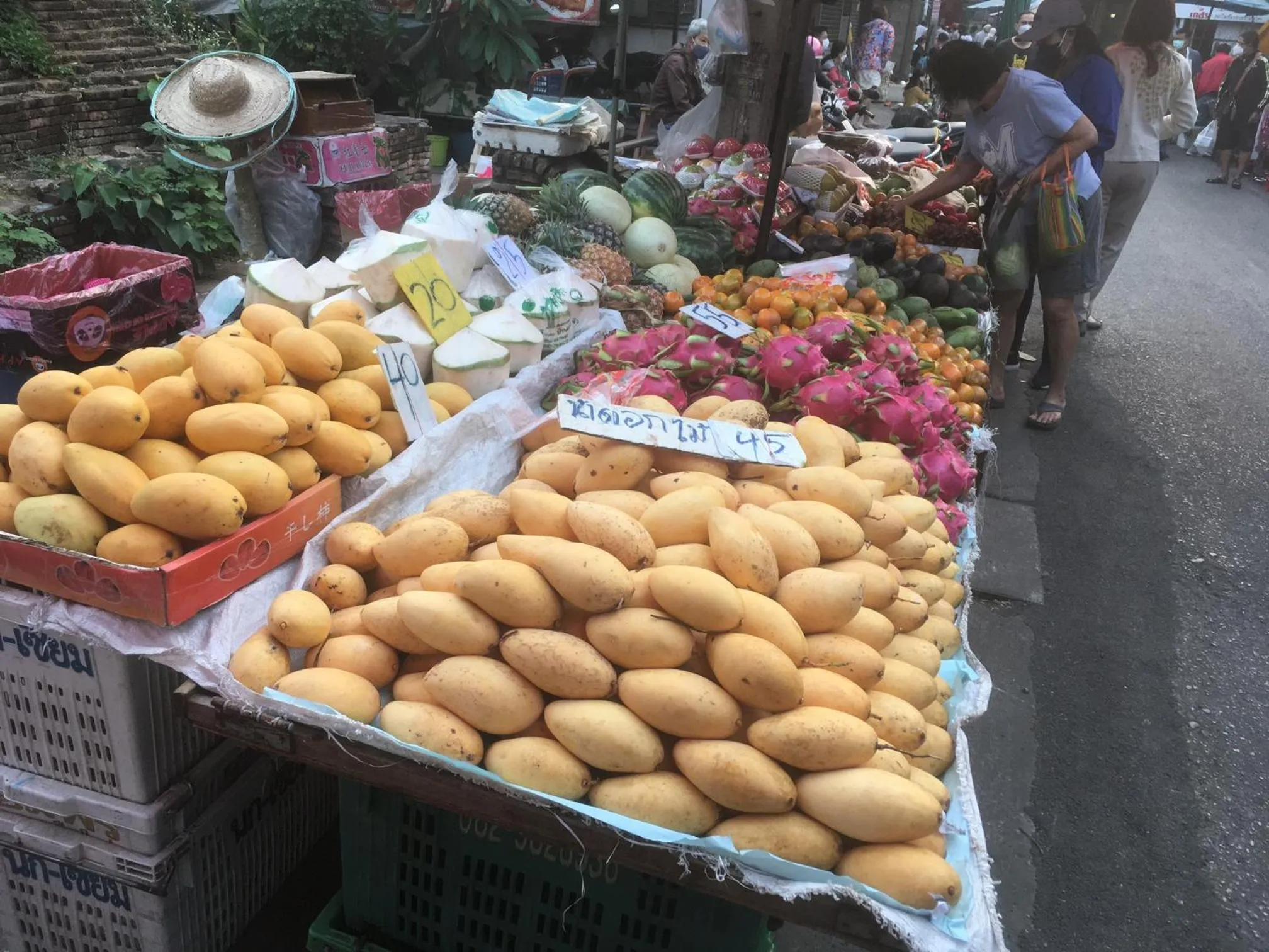 Off site in Triple Palms House