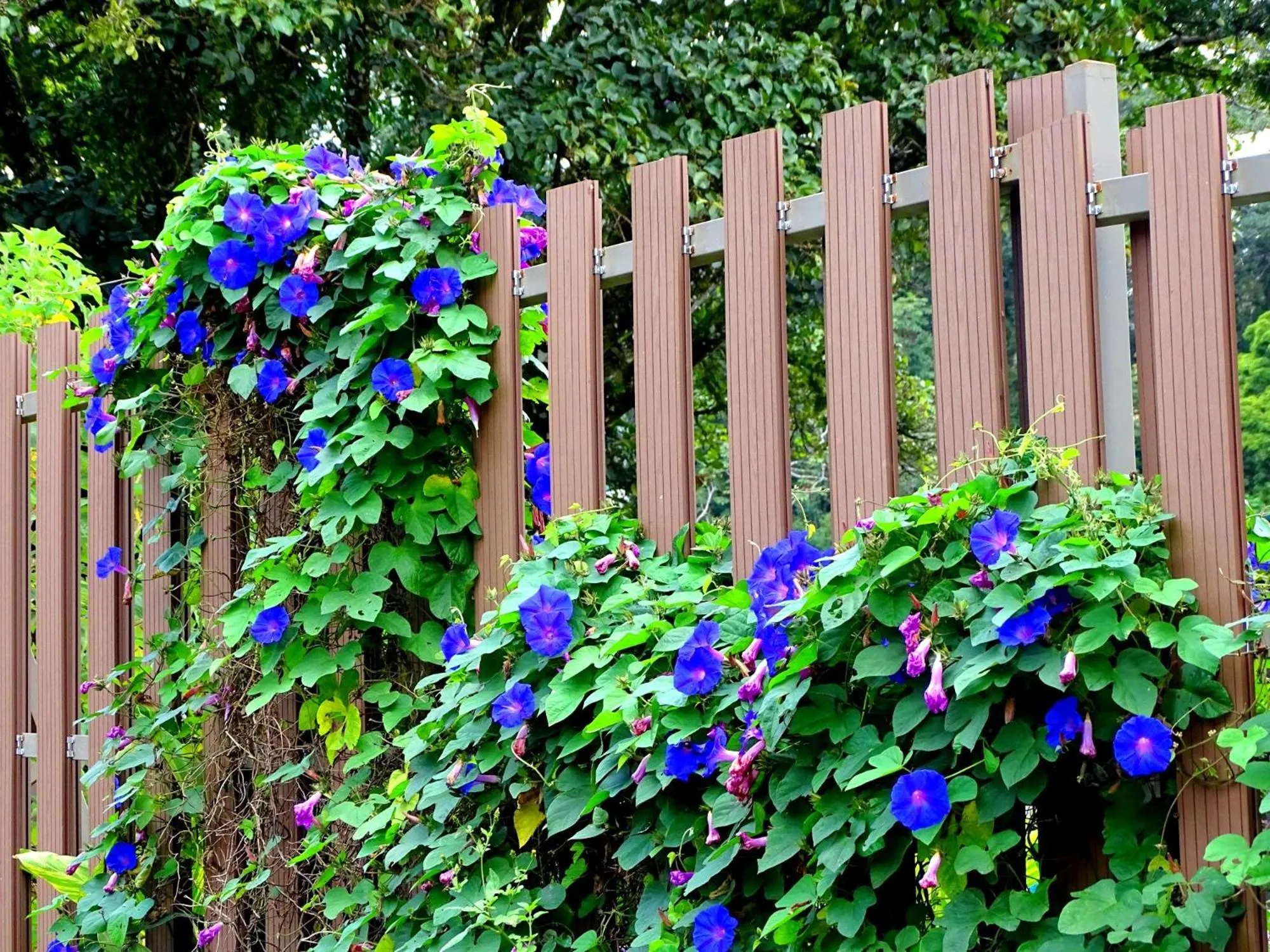 Miztli Lodge & Adventure