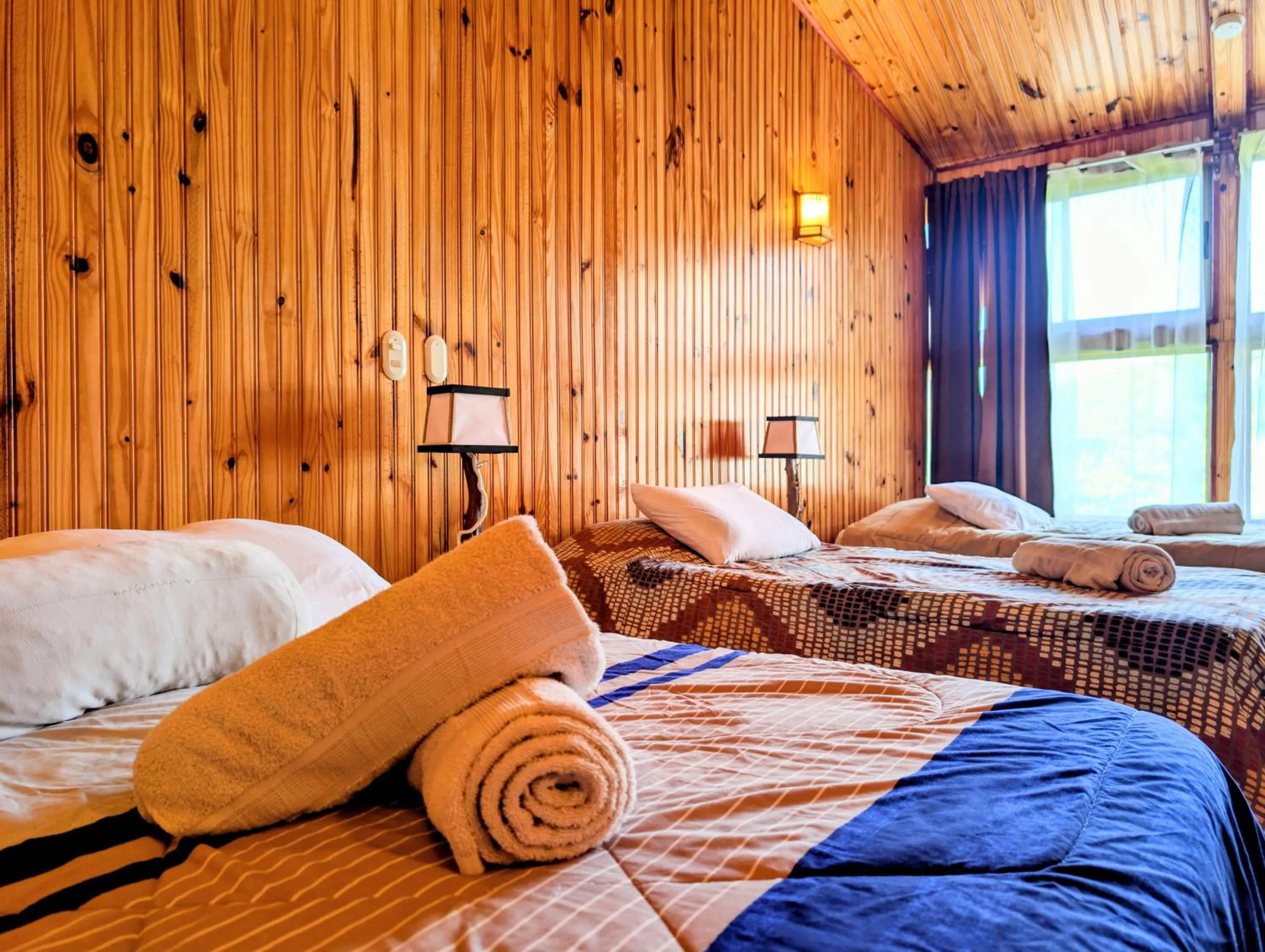 Bed in Miztli Lodge & Adventure