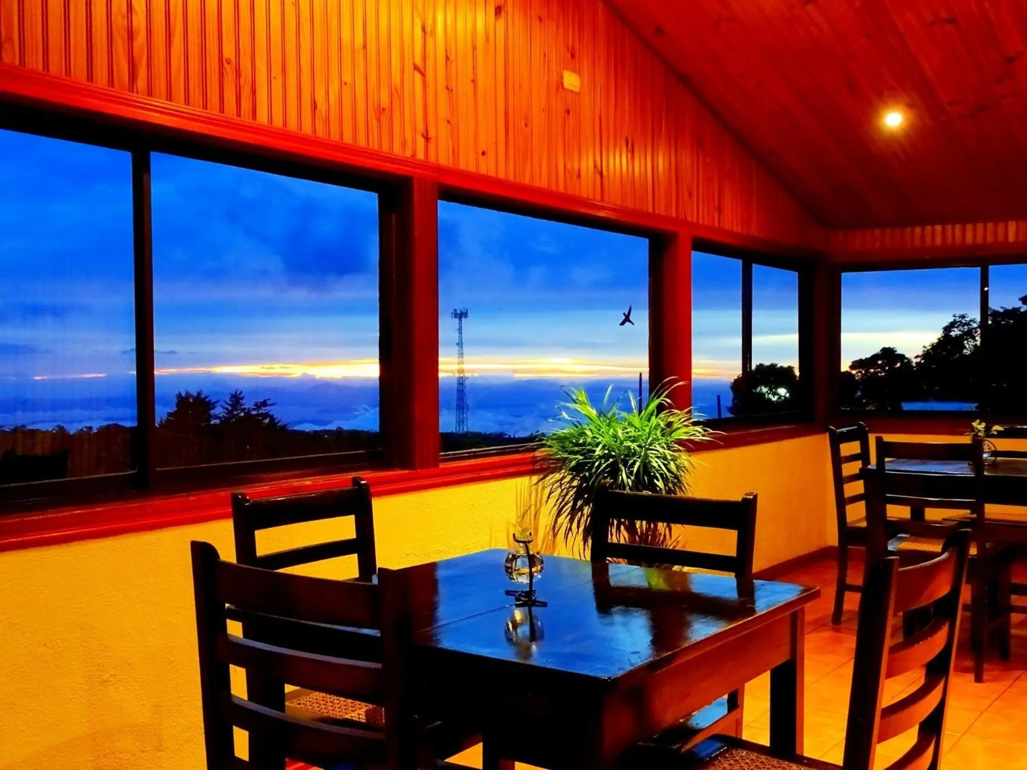 Miztli Lodge & Adventure