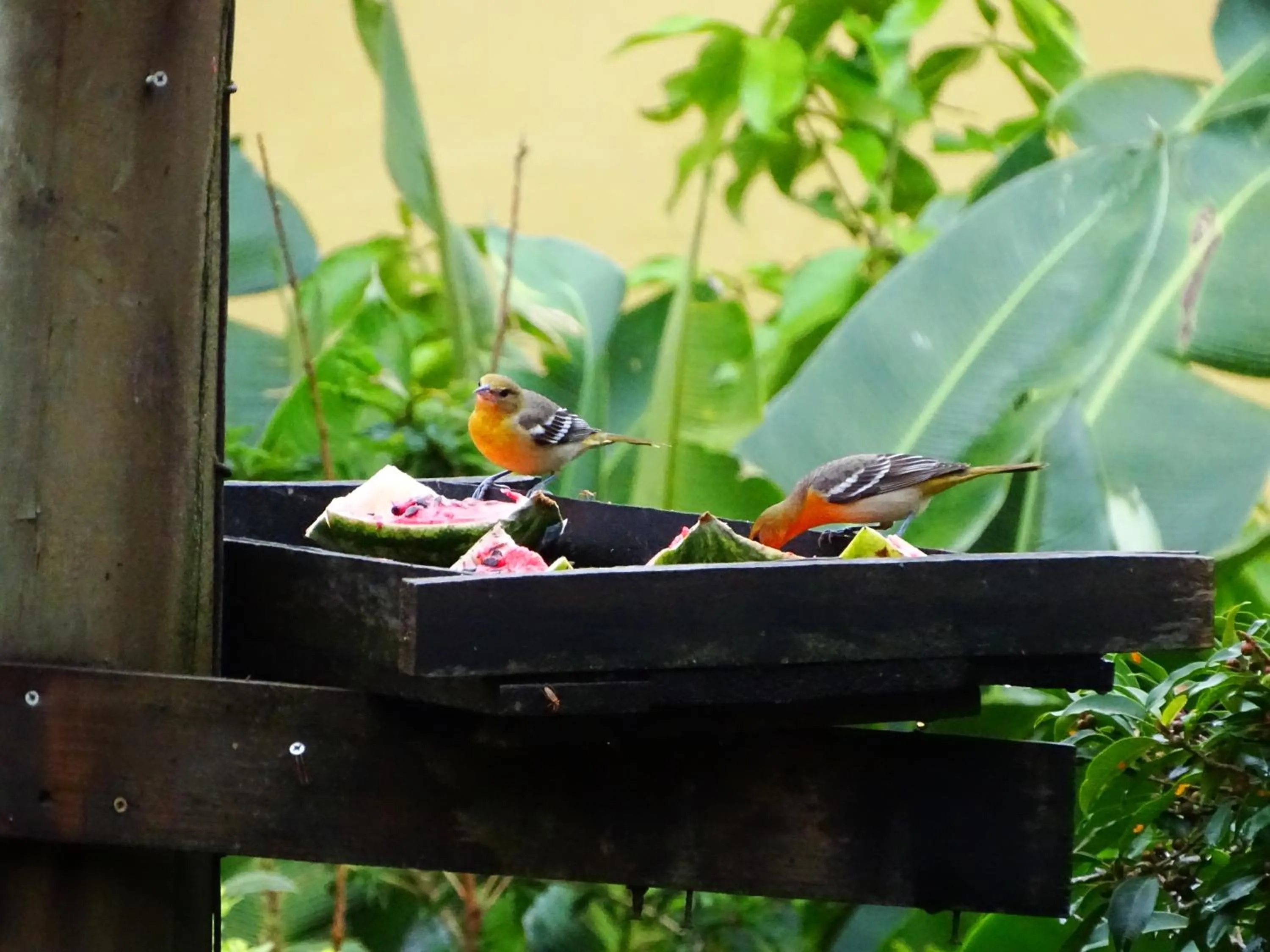 Miztli Lodge & Adventure