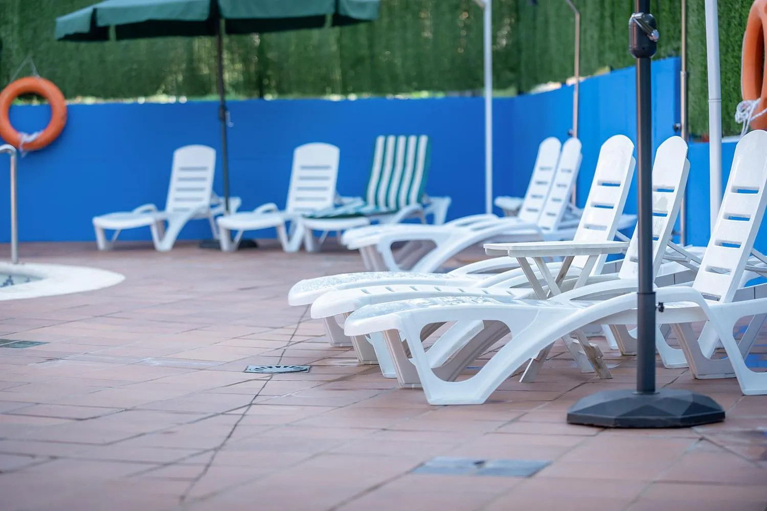 sunbed in Hotel Zeus