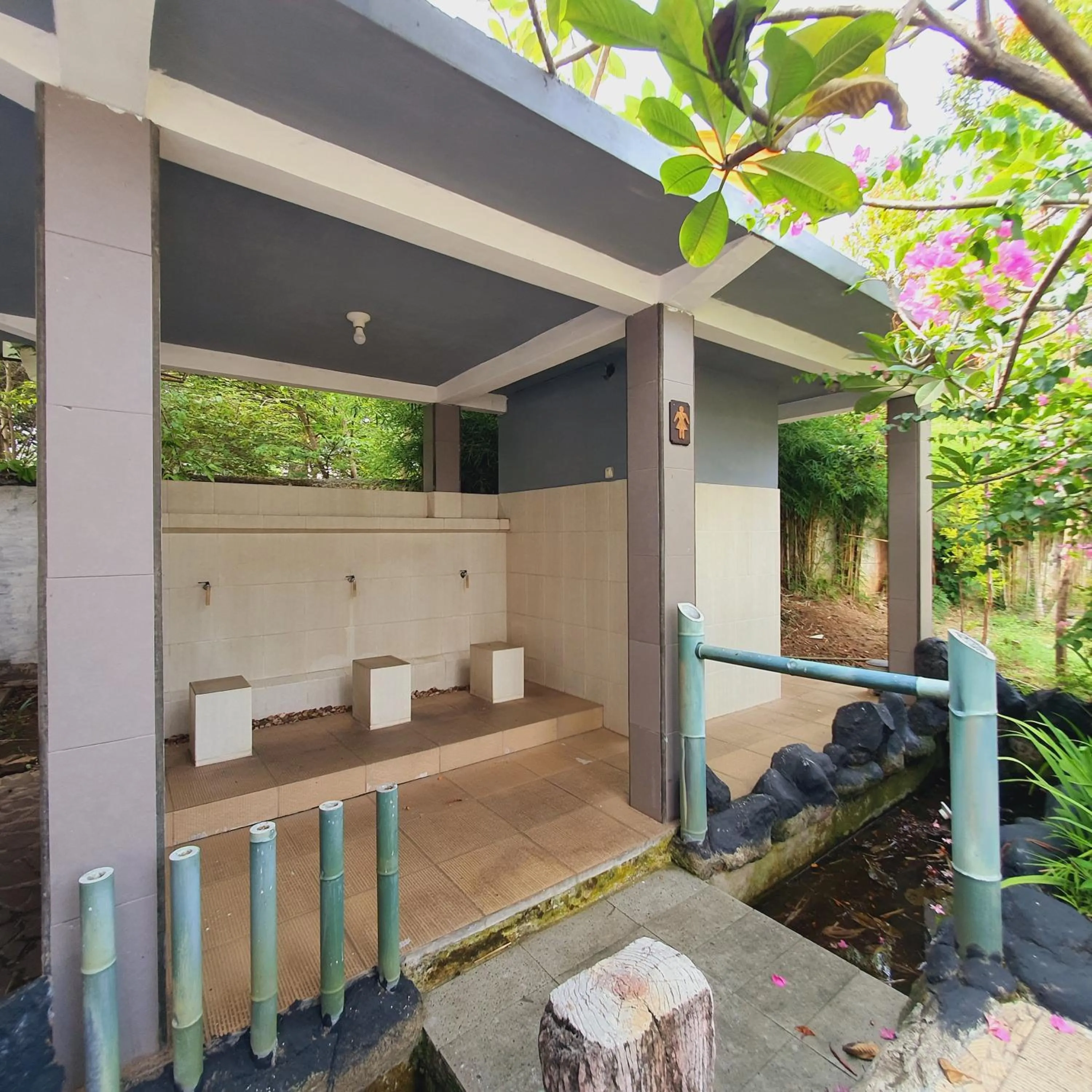 Garden in Tengger Guesthouse