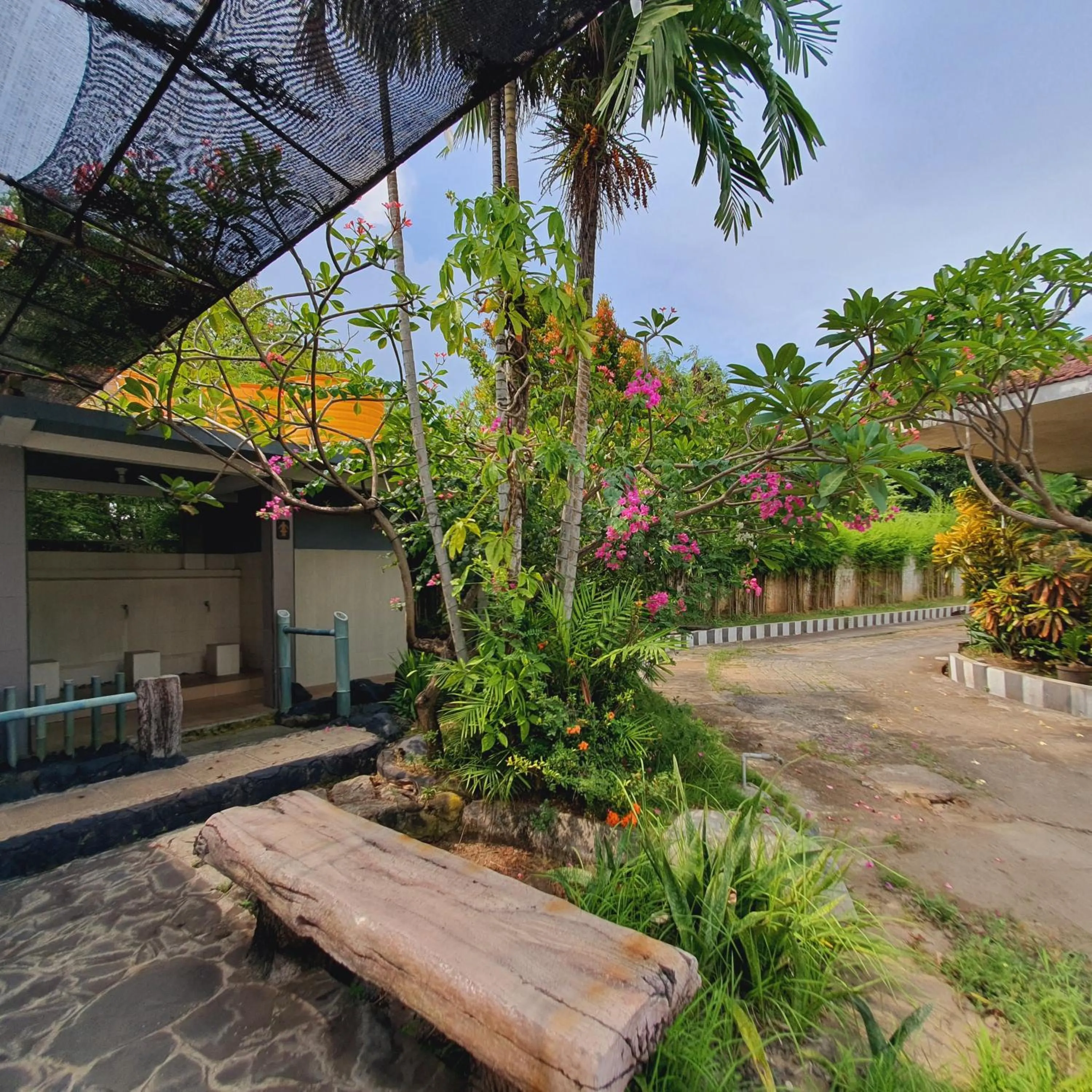 Garden view in Tengger Guesthouse