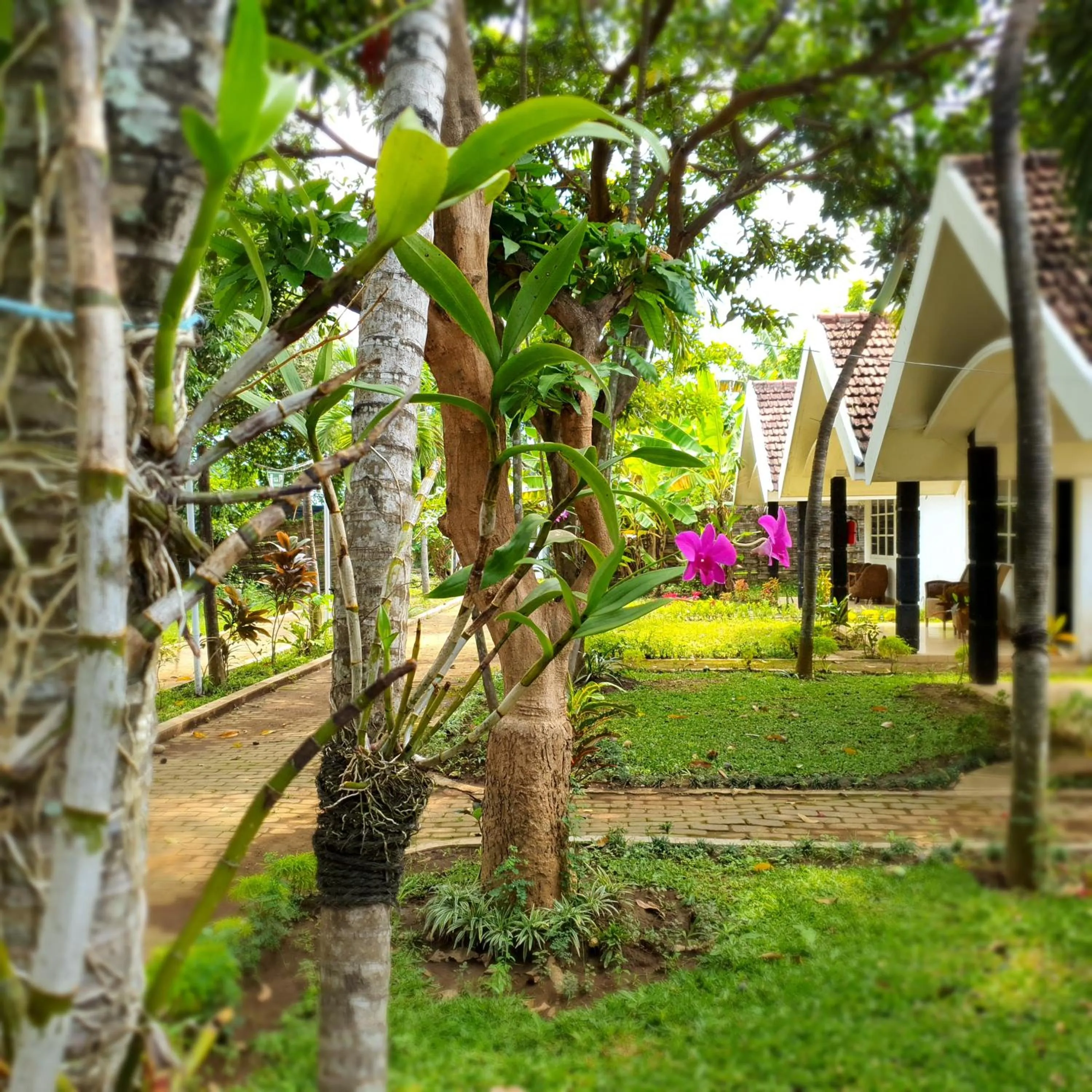 Property building in Tengger Guesthouse