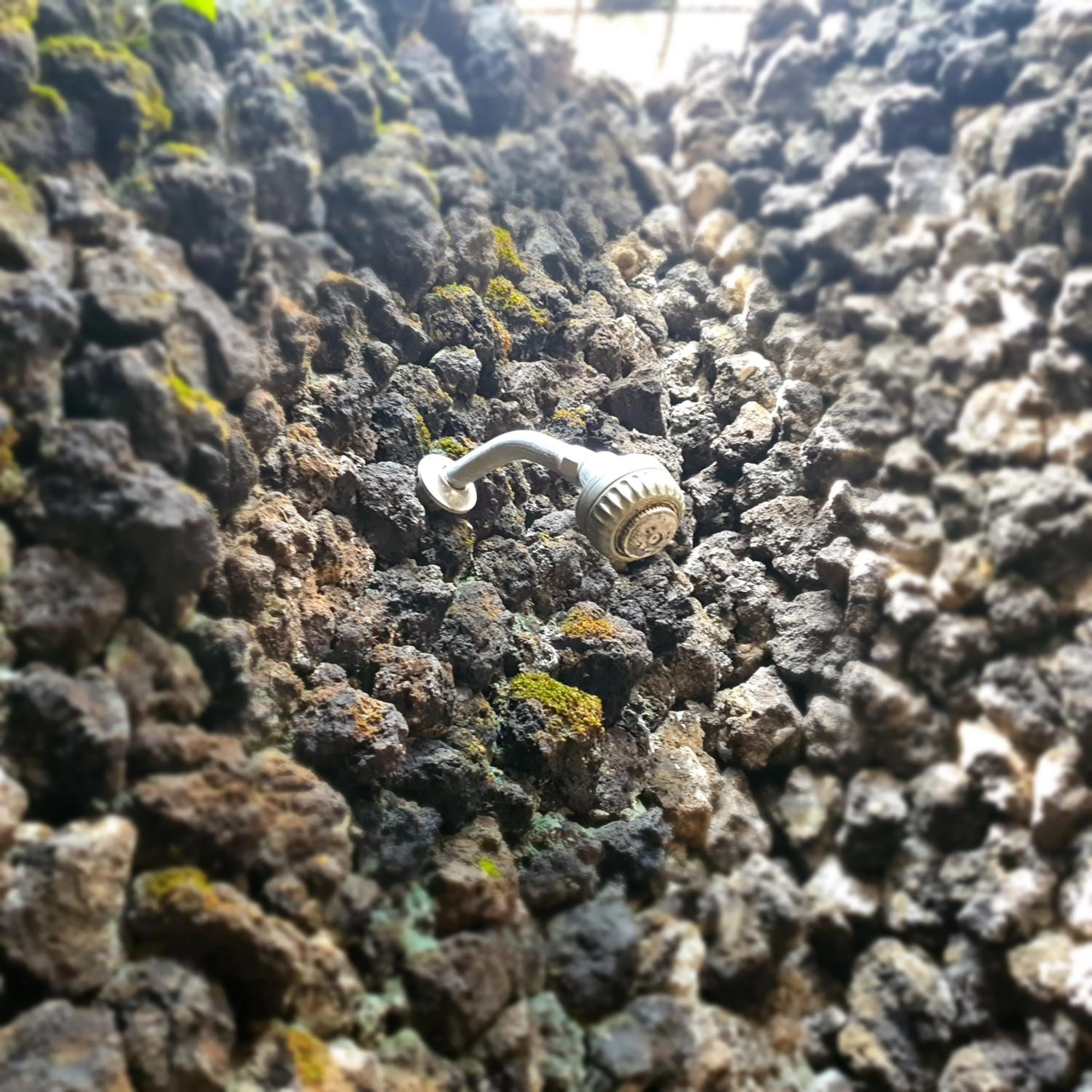 Shower in Tengger Guesthouse