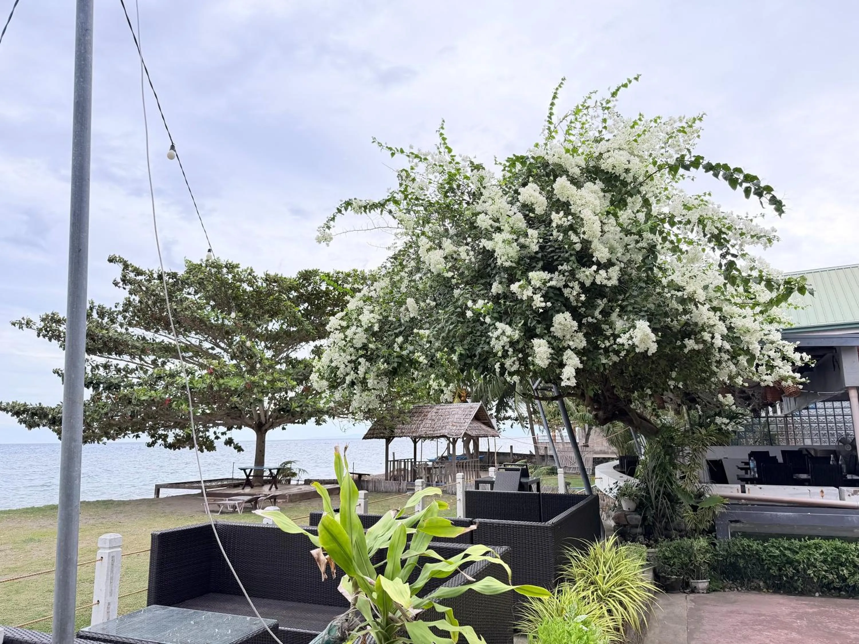 Area and facilities in SEAVIEW BEACH RESORT